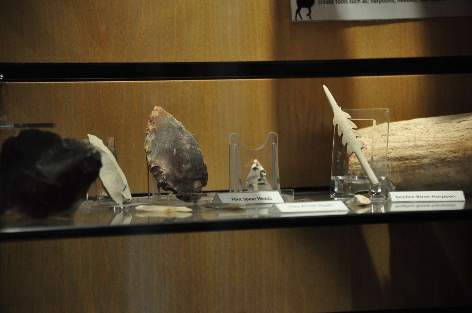 Kents Cavern Prehistoric Caves