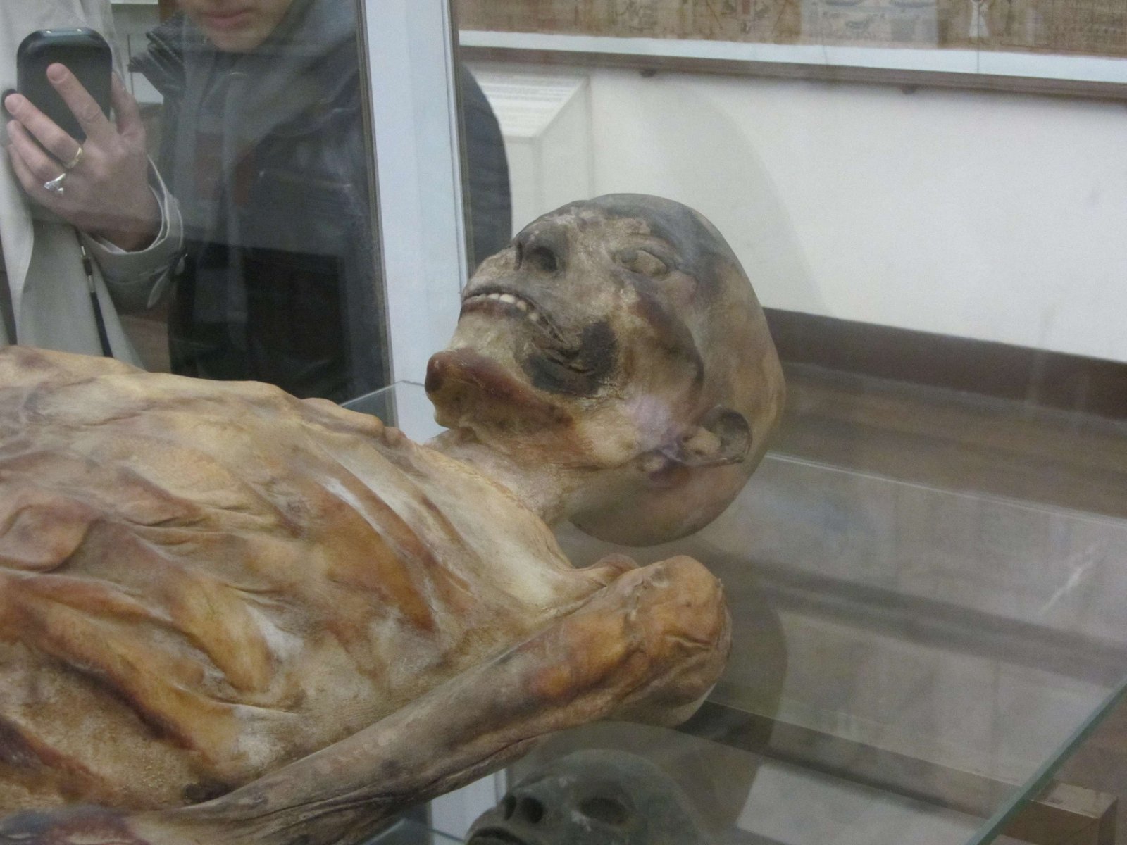 Egyptian Museum of Turin