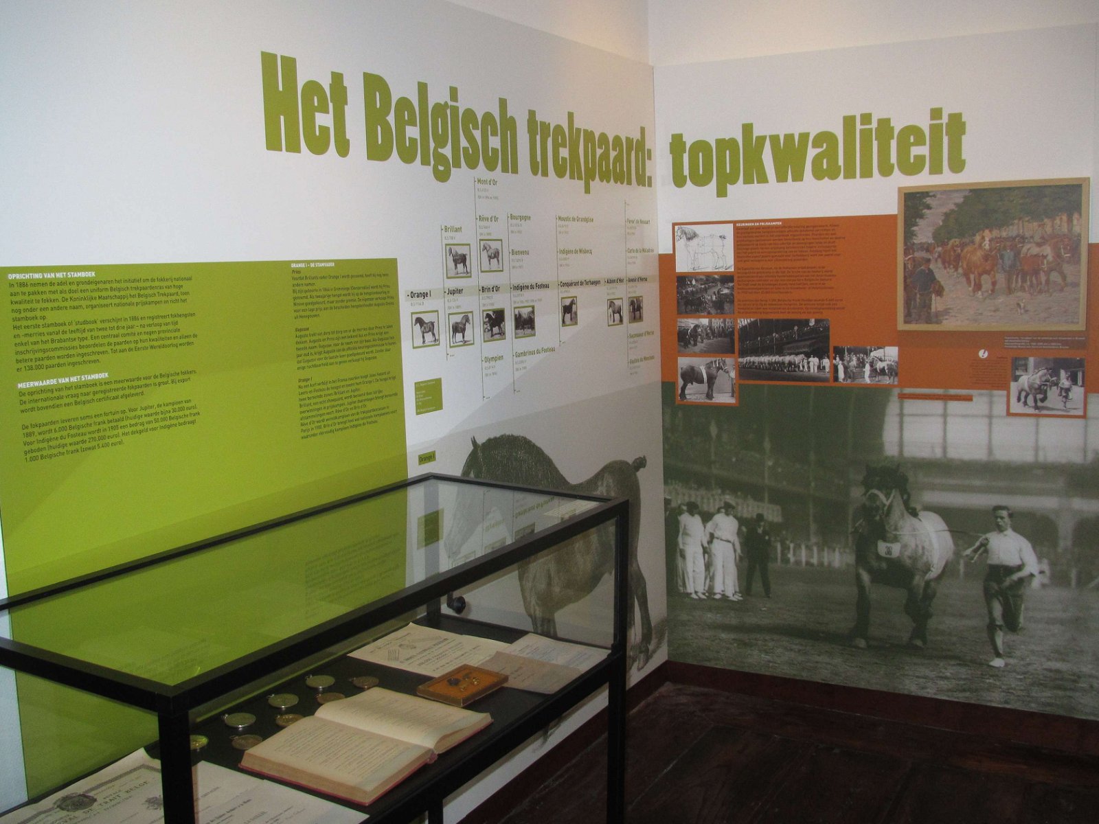 Museum van het Belgisch Trekpaard