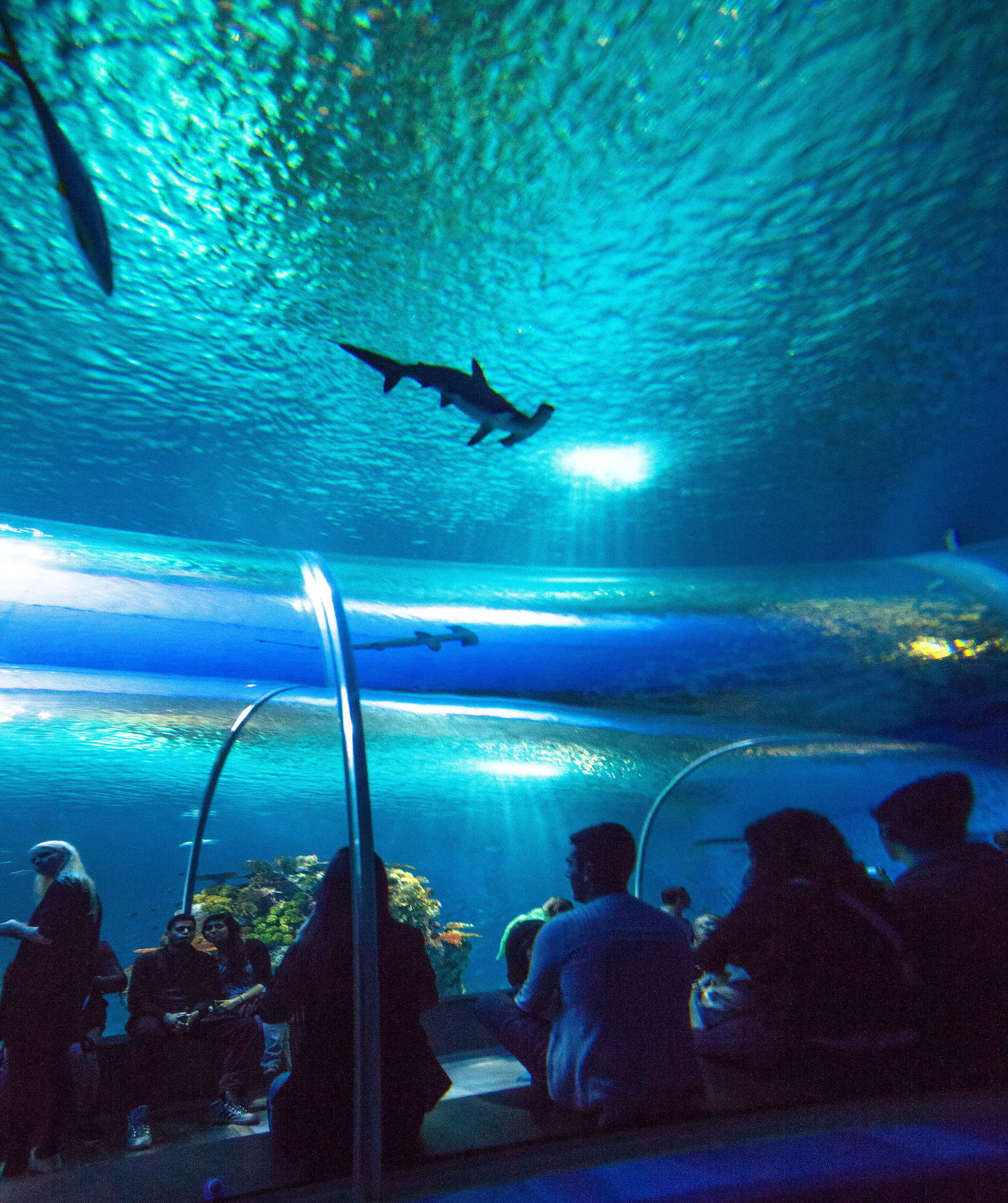 National Aquarium Denmark