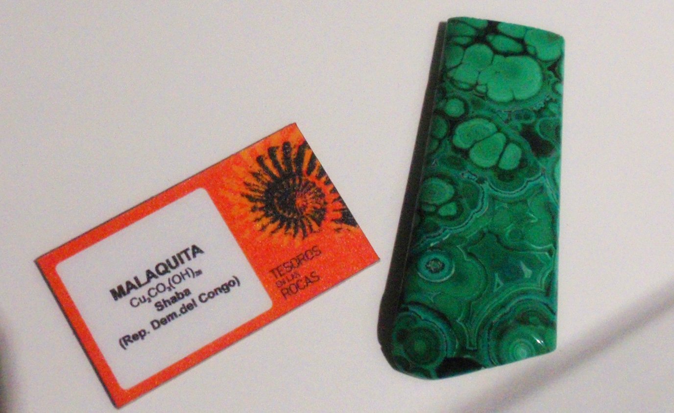 Museo Elder de la Ciencia y la Tecnología