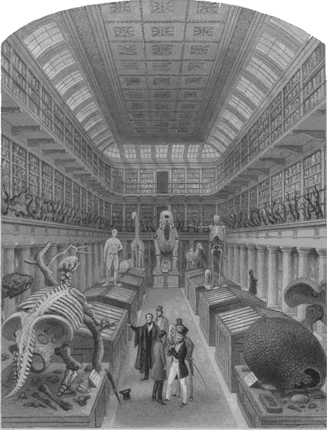 The Hunterian Museum