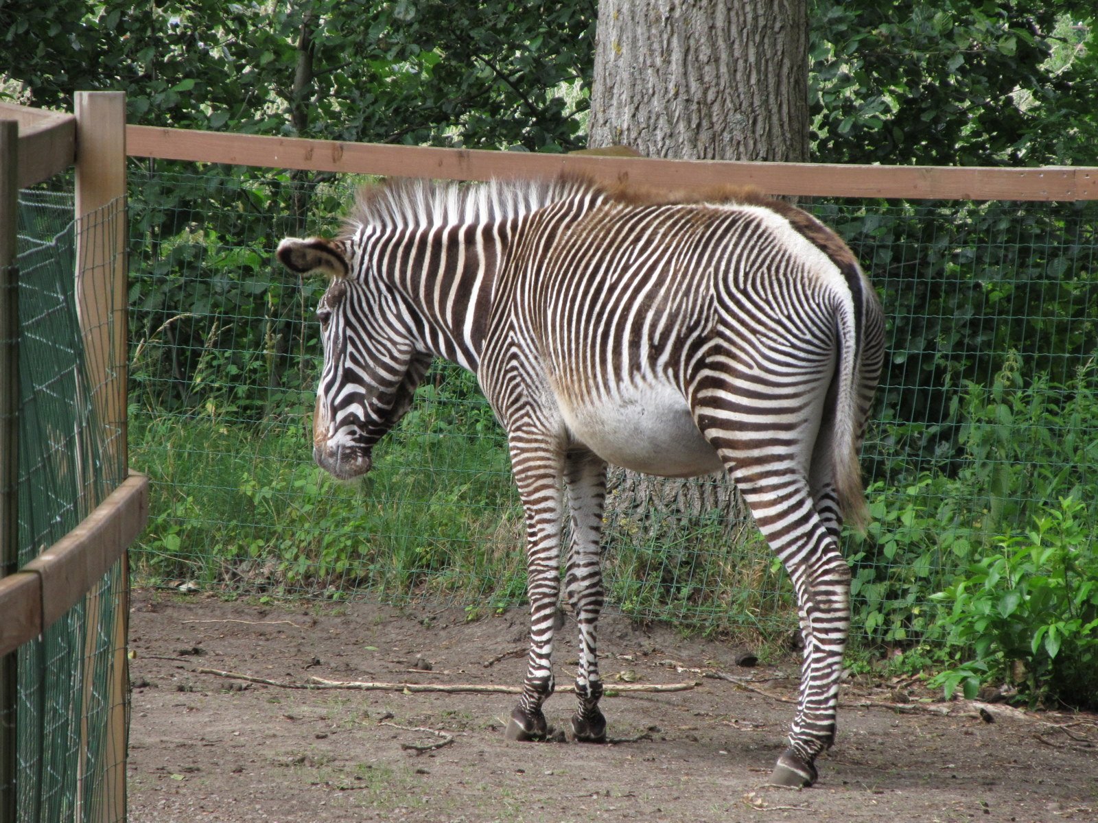 Familiepark Harry Malter