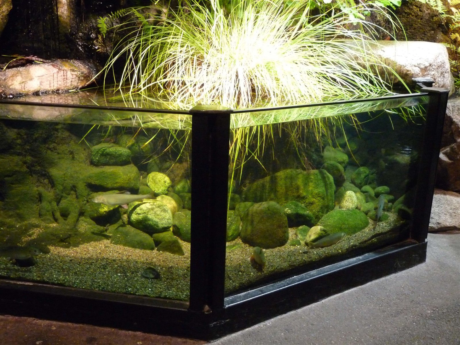 Aquaria Water Museum