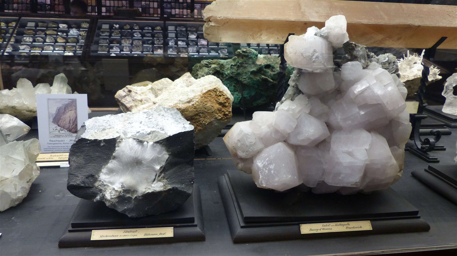 Natural History Museum