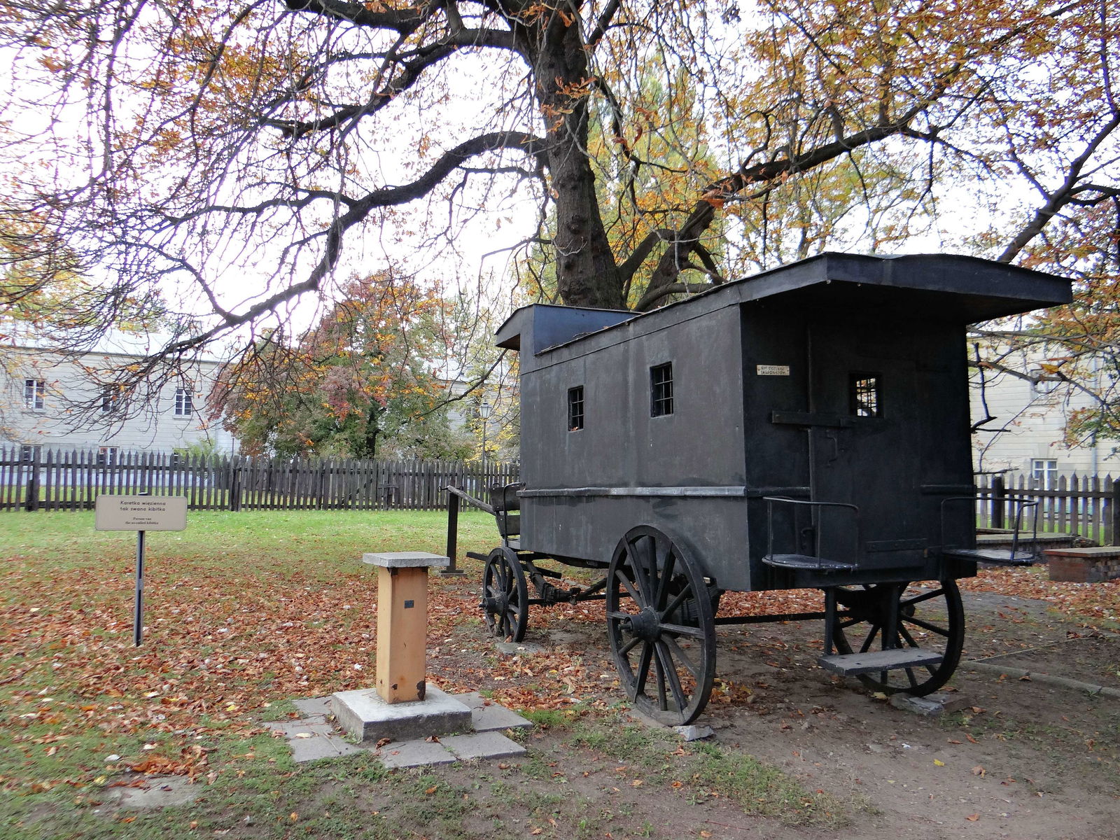 Museum of Pavilion X