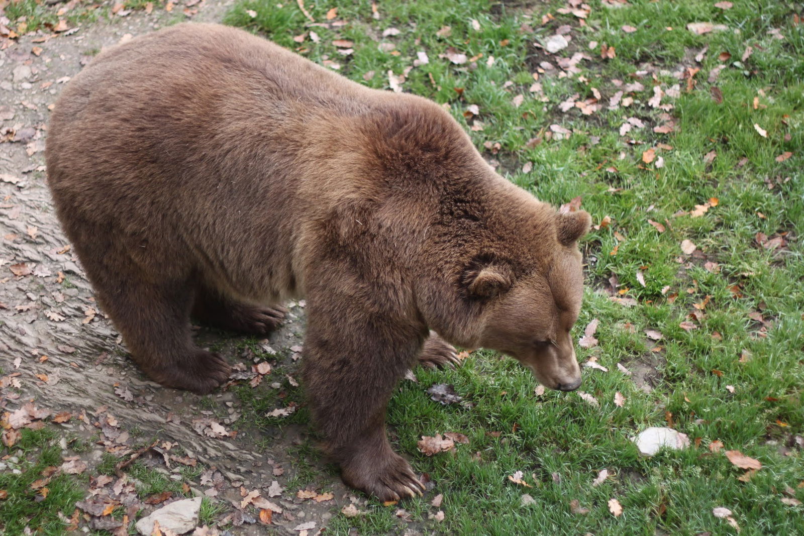 Bouillon Wildlife Park