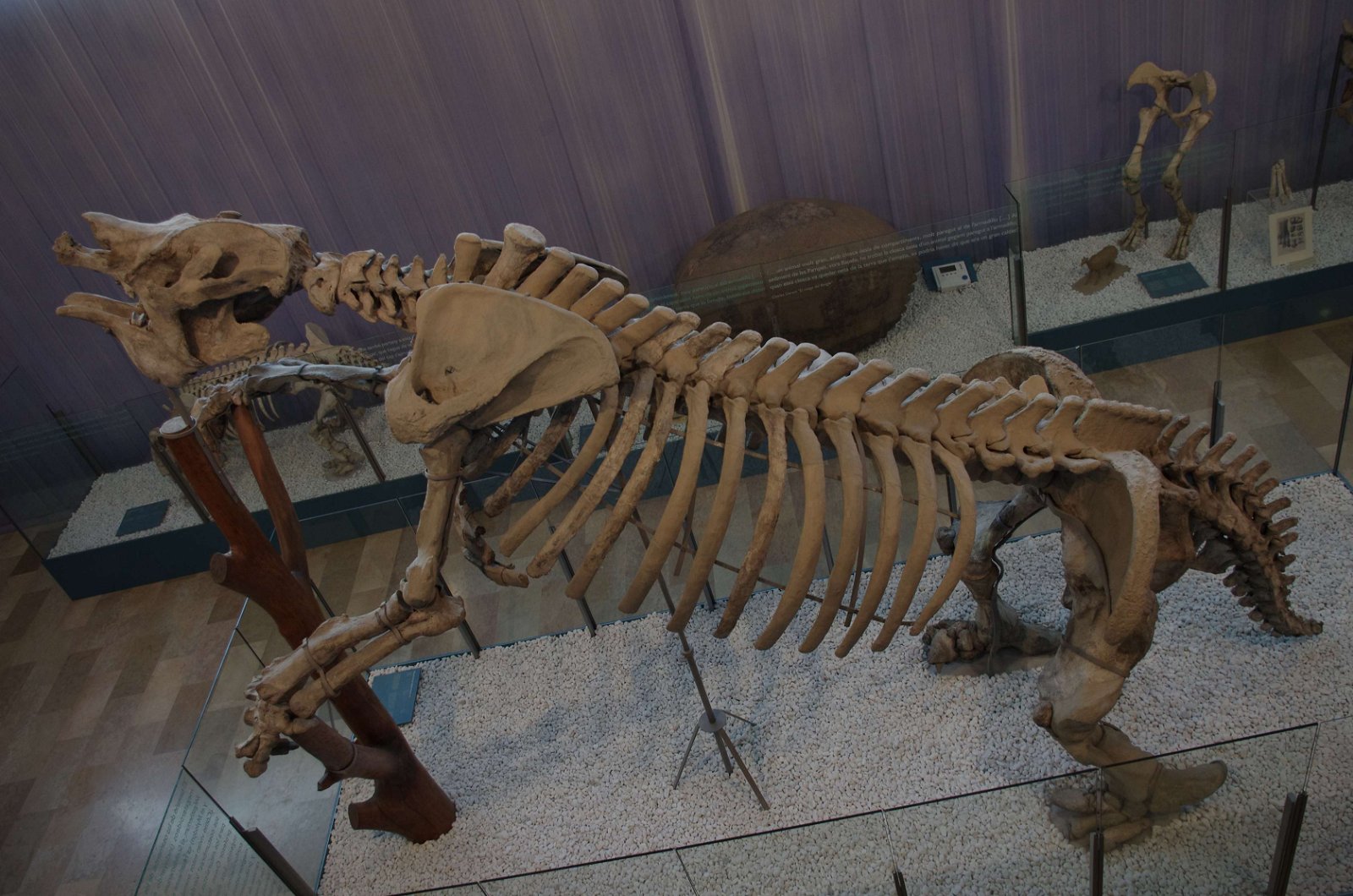 Museum of Natural Science