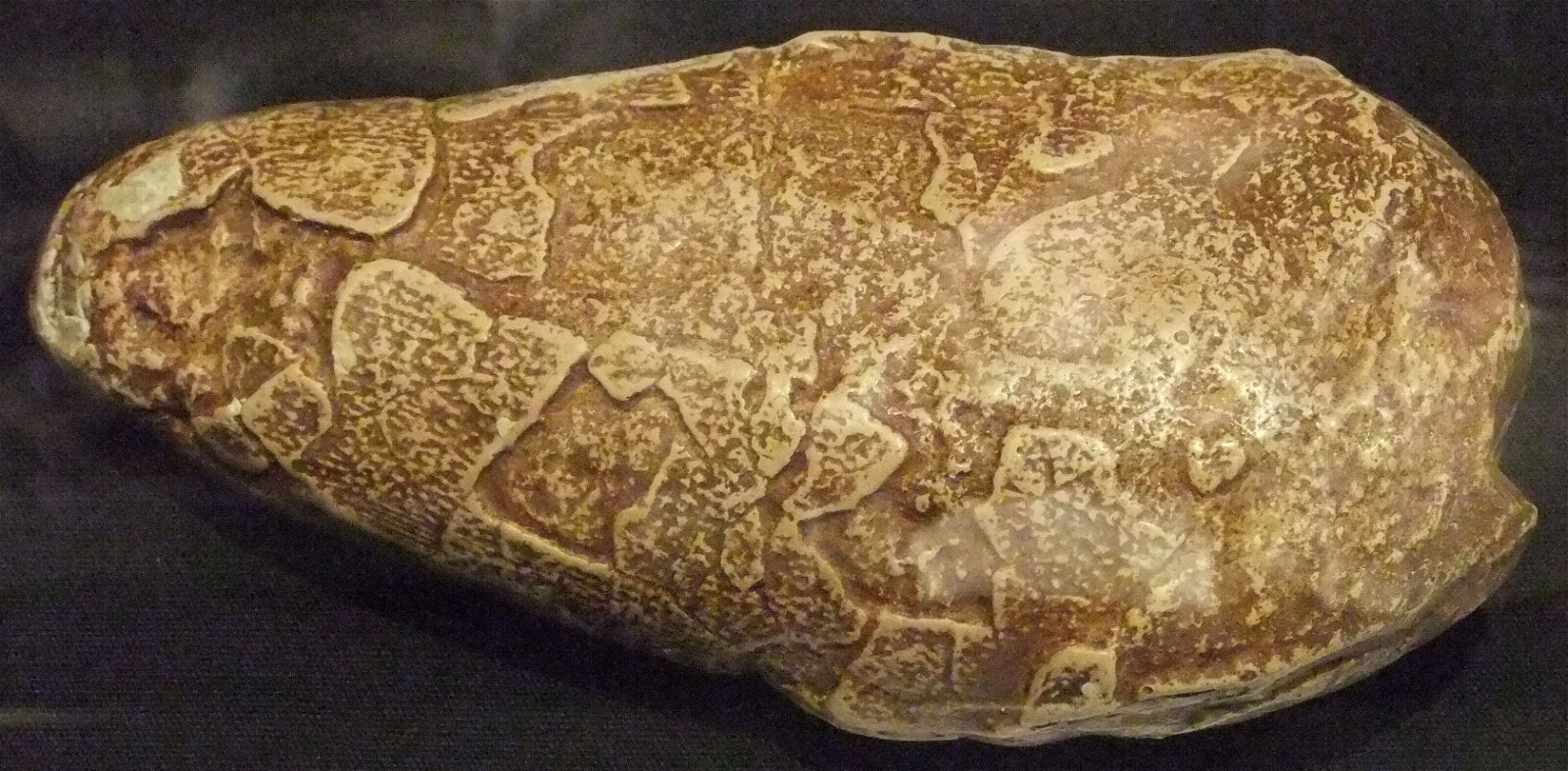 Wrexham County Borough Museum and Archives