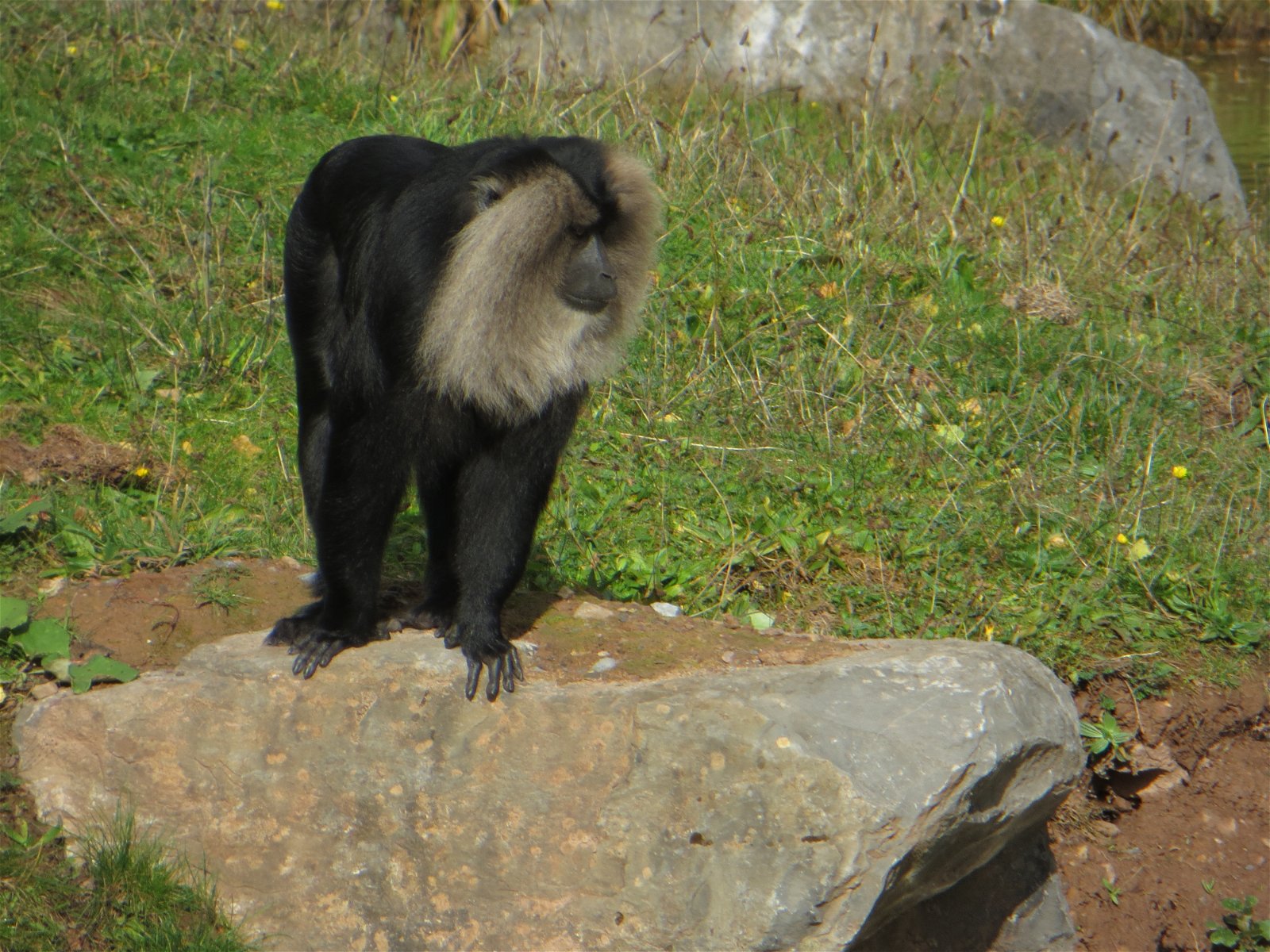 Monde Sauvage Safari Parc