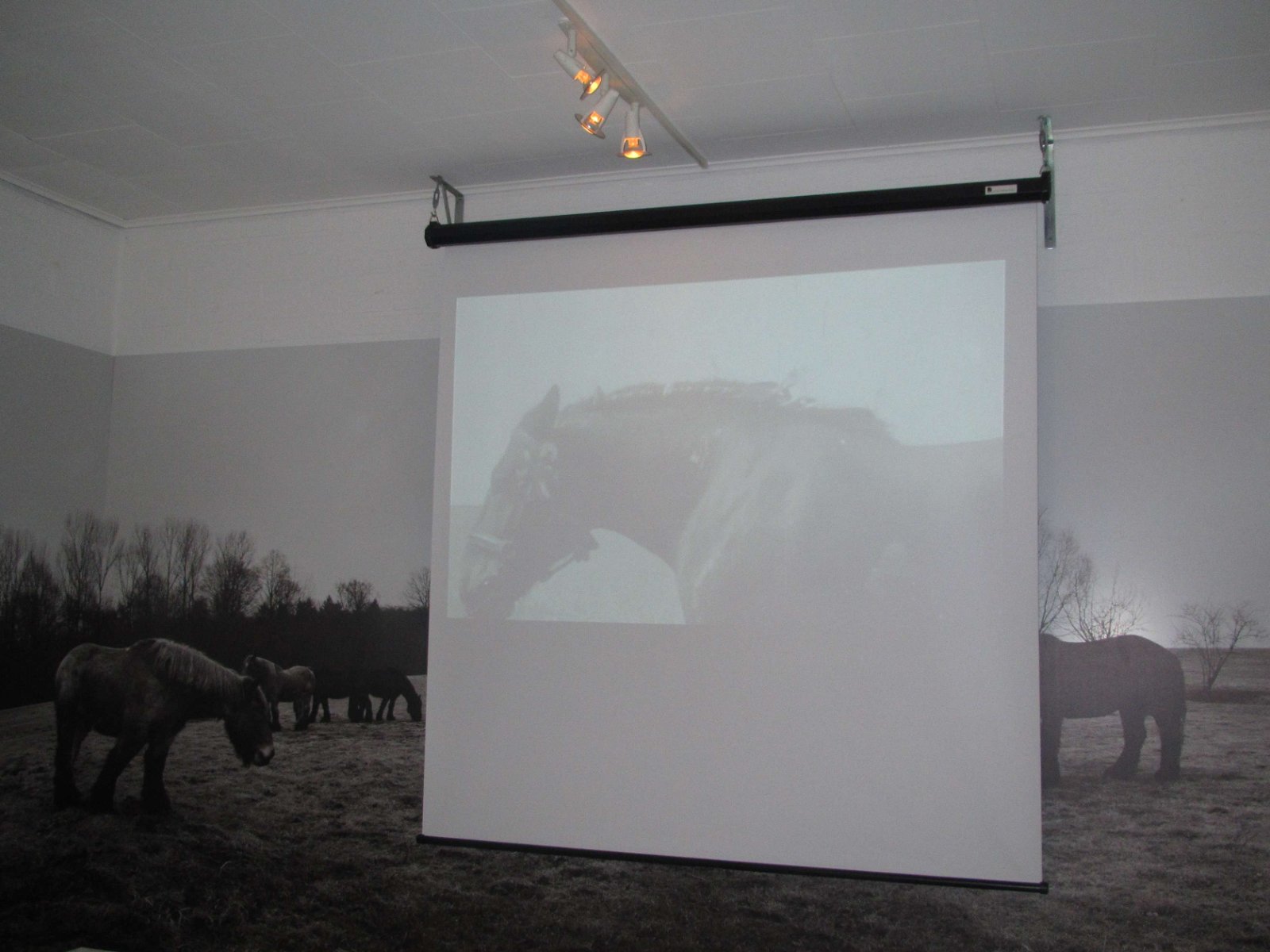 Museum van het Belgisch Trekpaard