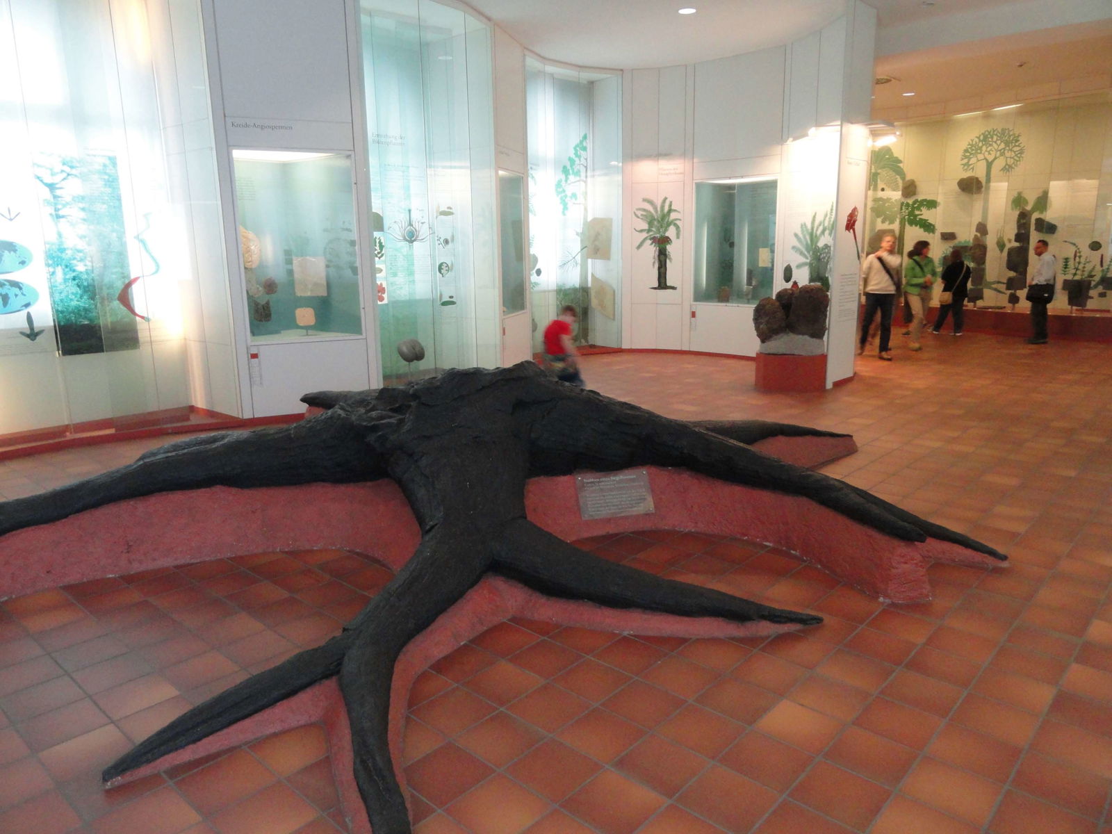 Naturmuseum Senckenberg