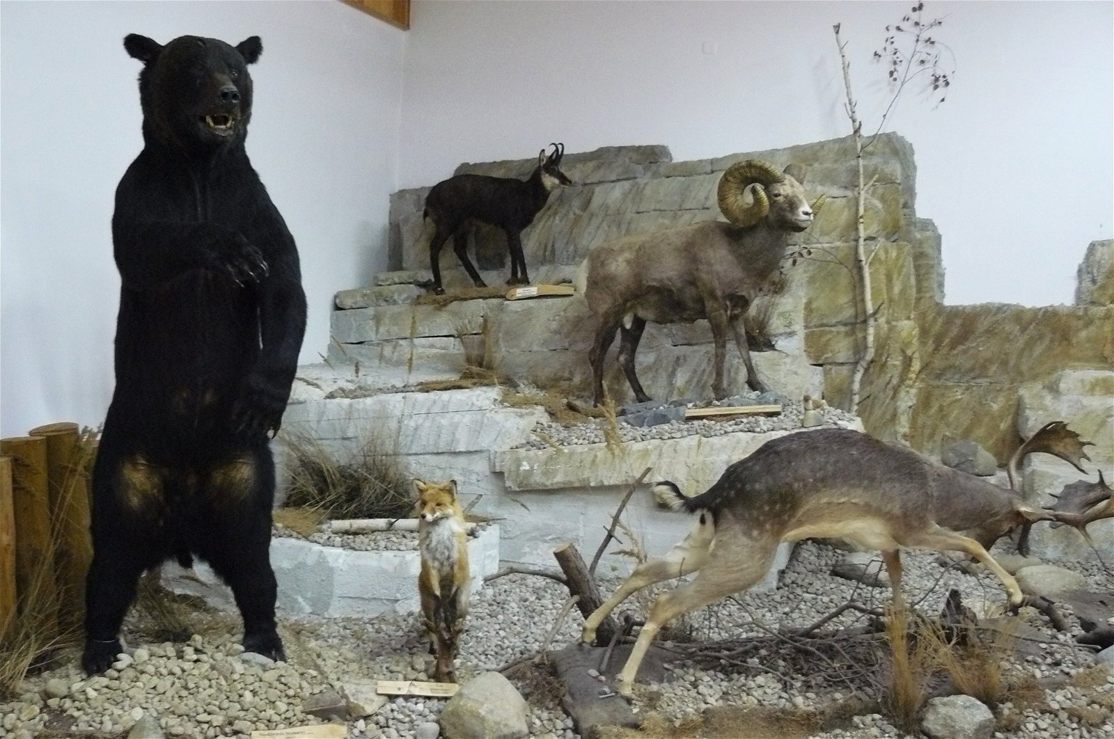 Museum of Natural Environment and Hunting