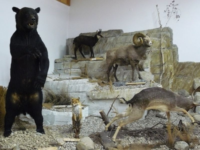 Museum of Natural Environment and Hunting
