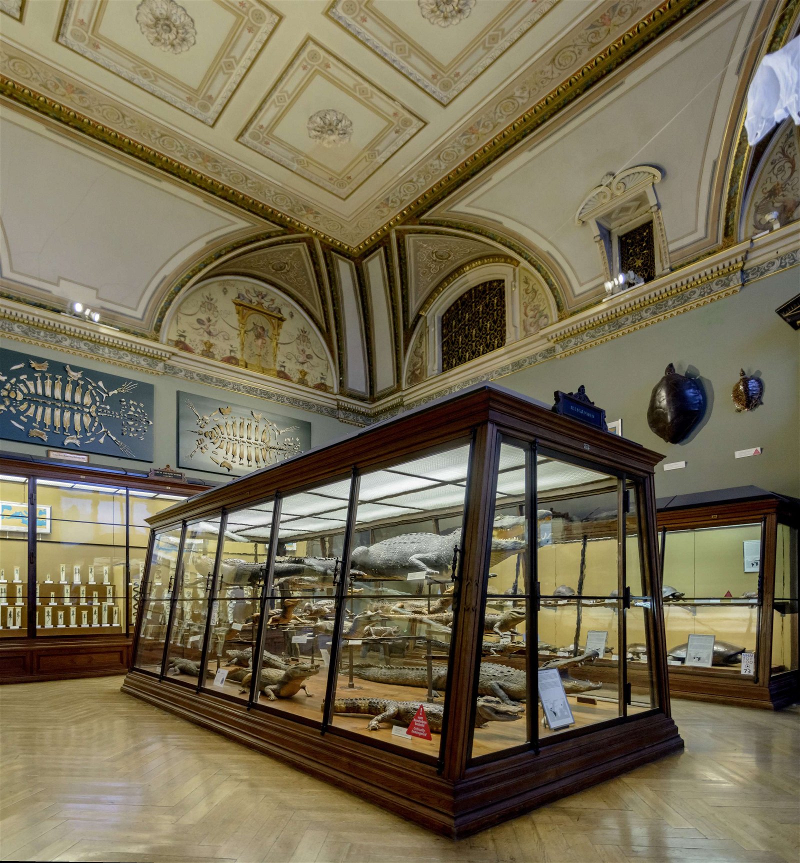 Natural History Museum