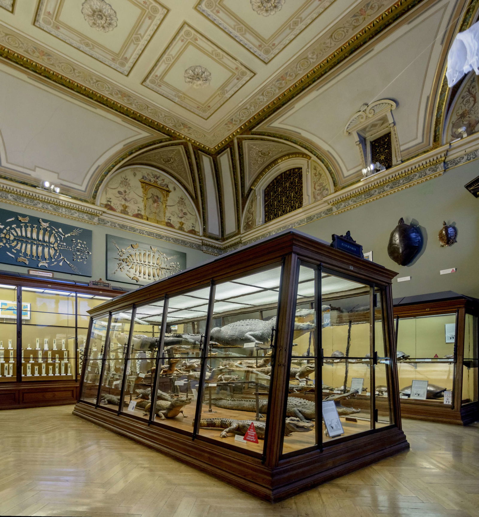 Naturhistorisches Museum