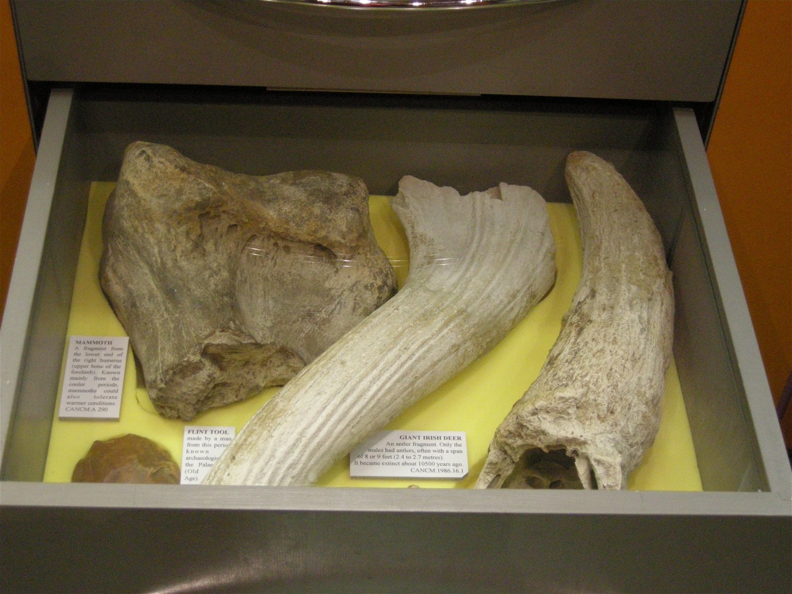 The Seaside Museum, Herne Bay