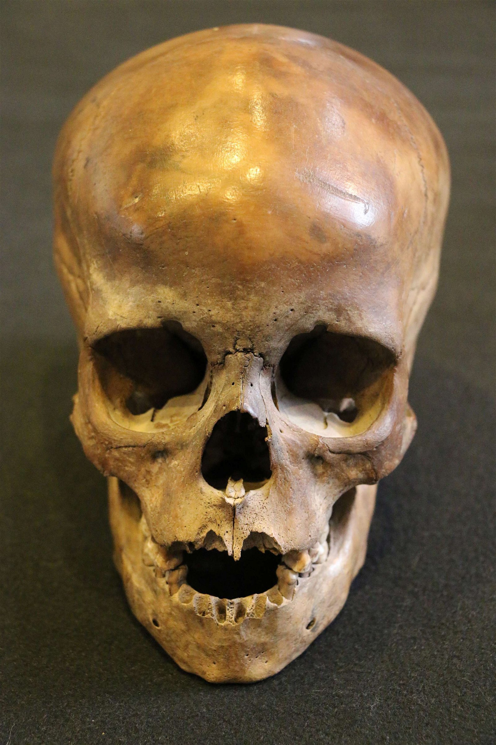 The National Museum of Denmark