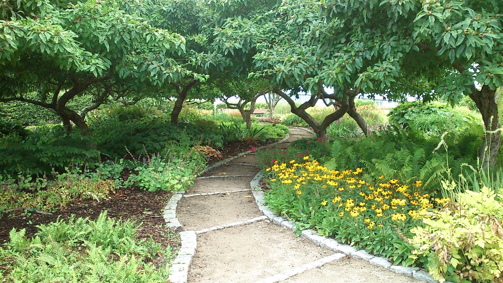 Aarhus Botanical Gardens