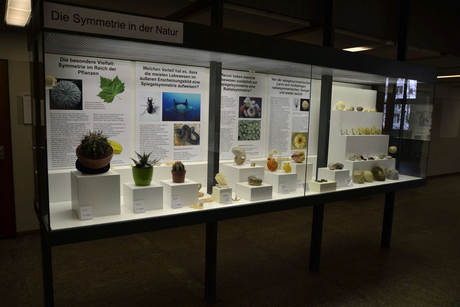 Museum Reich der Kristalle