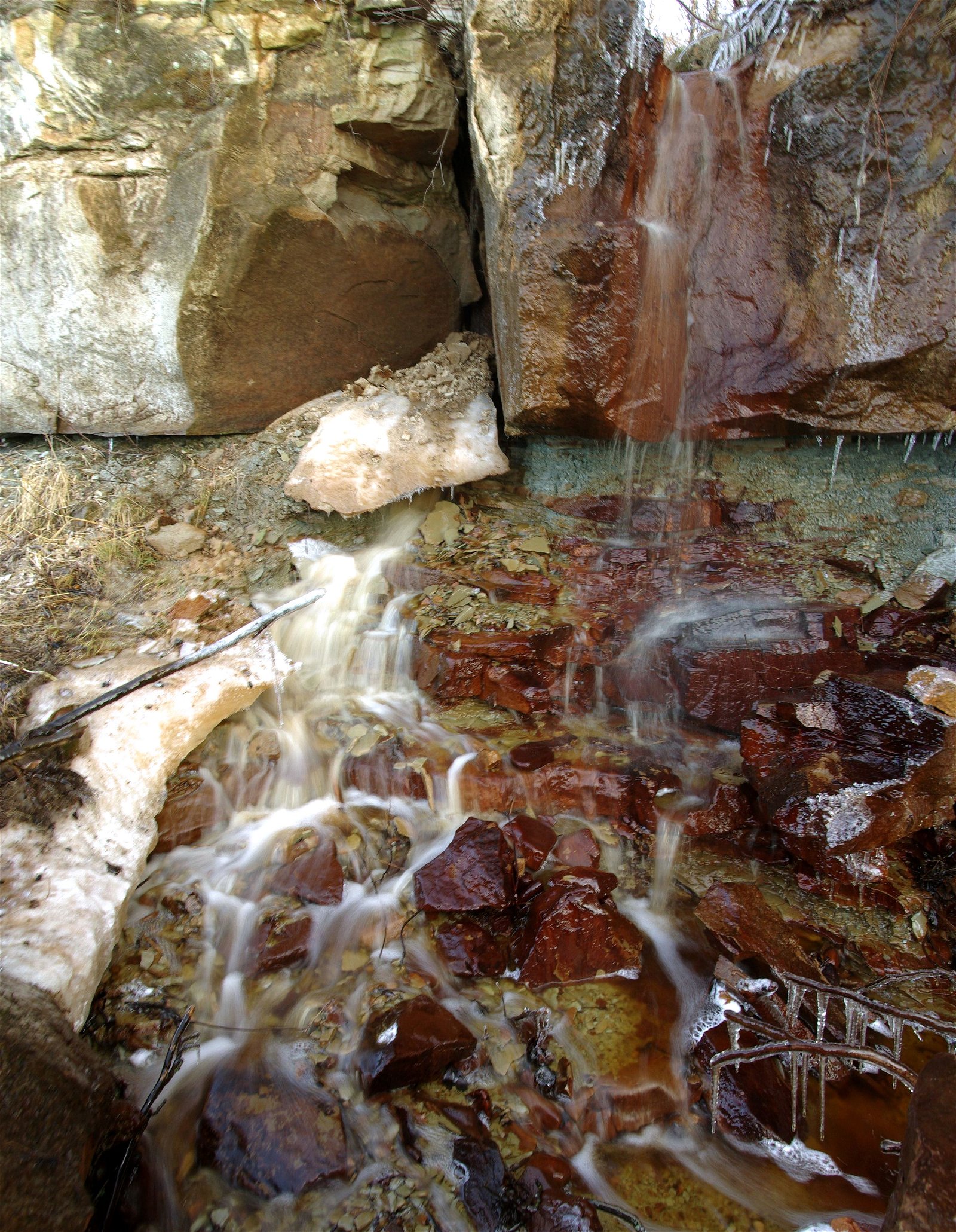 Estonian Open Air Museum