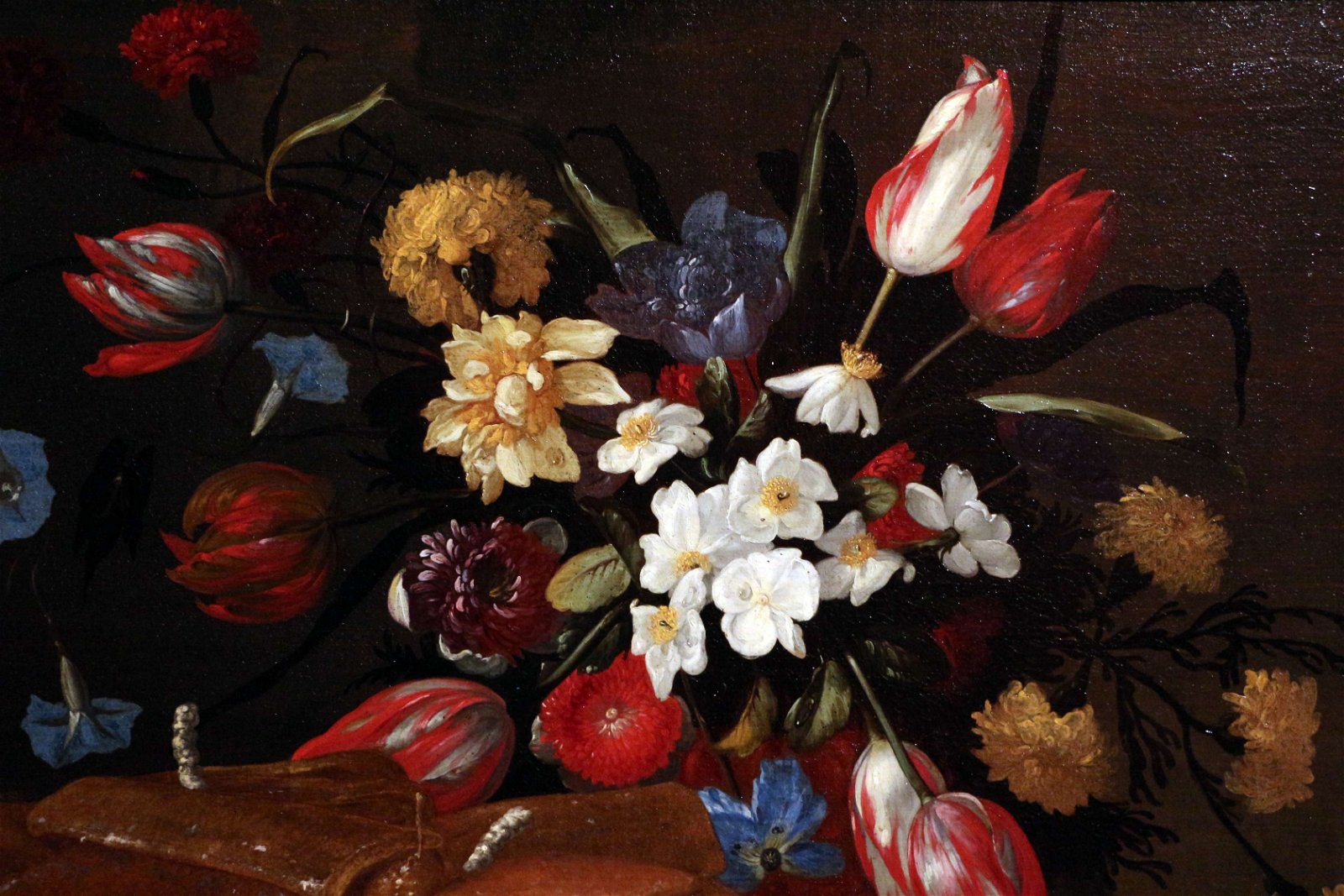 Gallerie di Palazzo Zevallos Stigliano