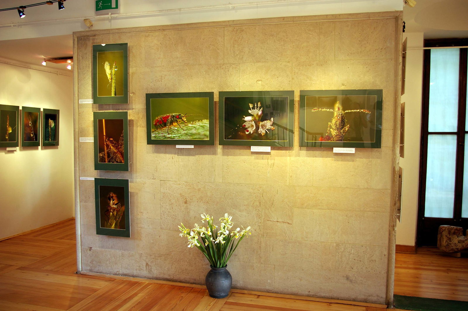 Earth Museum - Polish Academy of Sciences