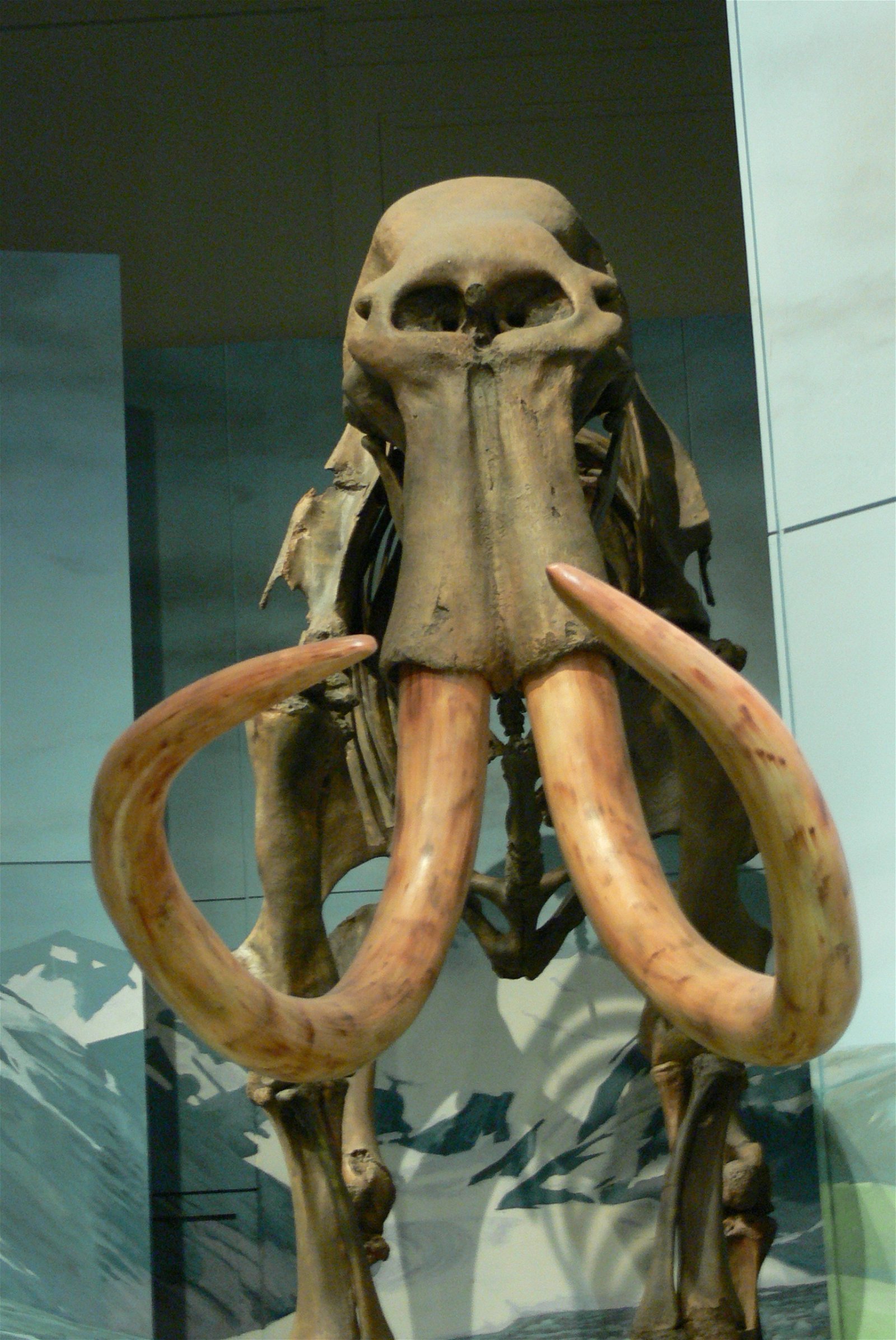 National Museum Cardiff