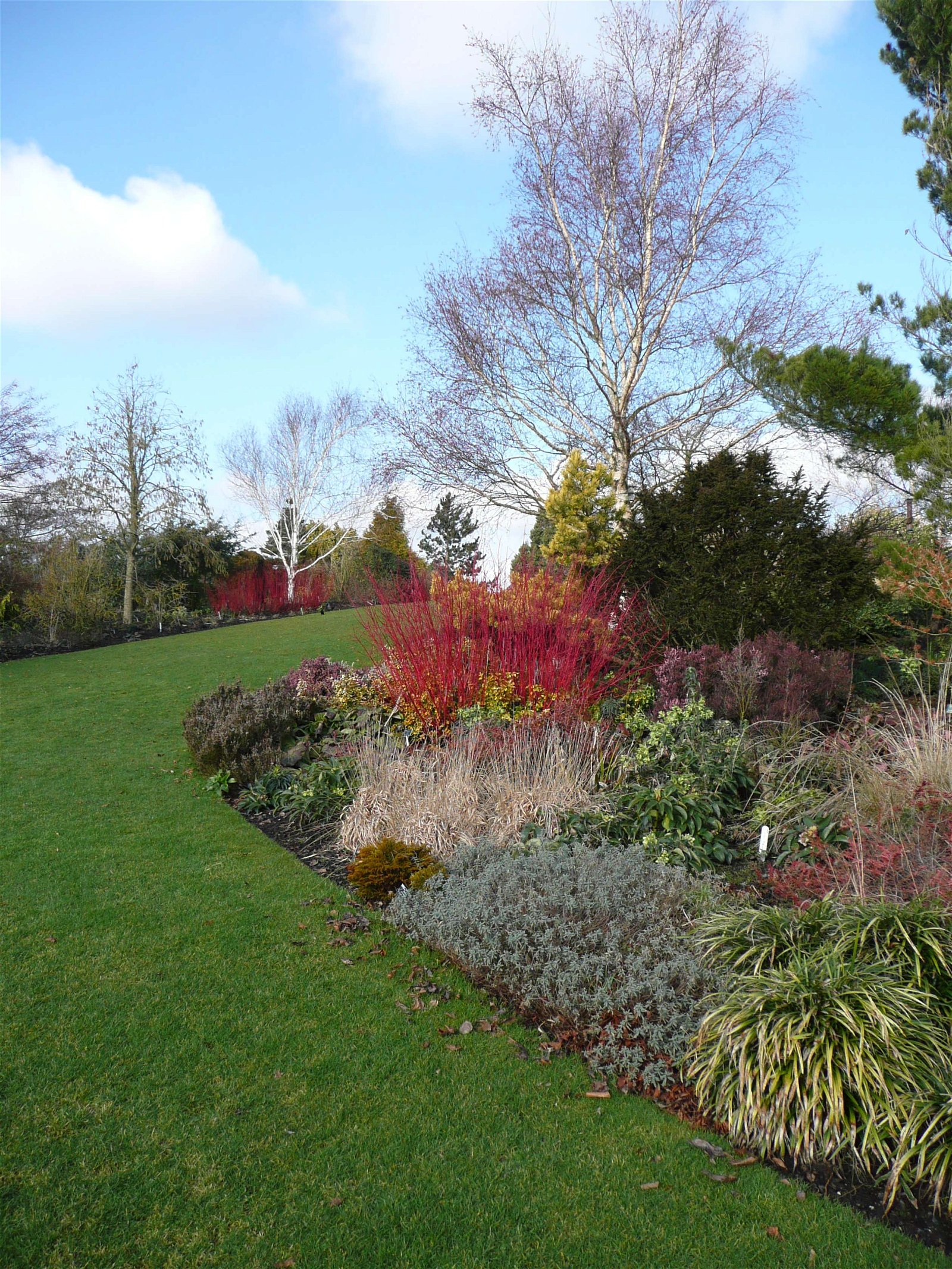 RHS Garden Hyde Hall