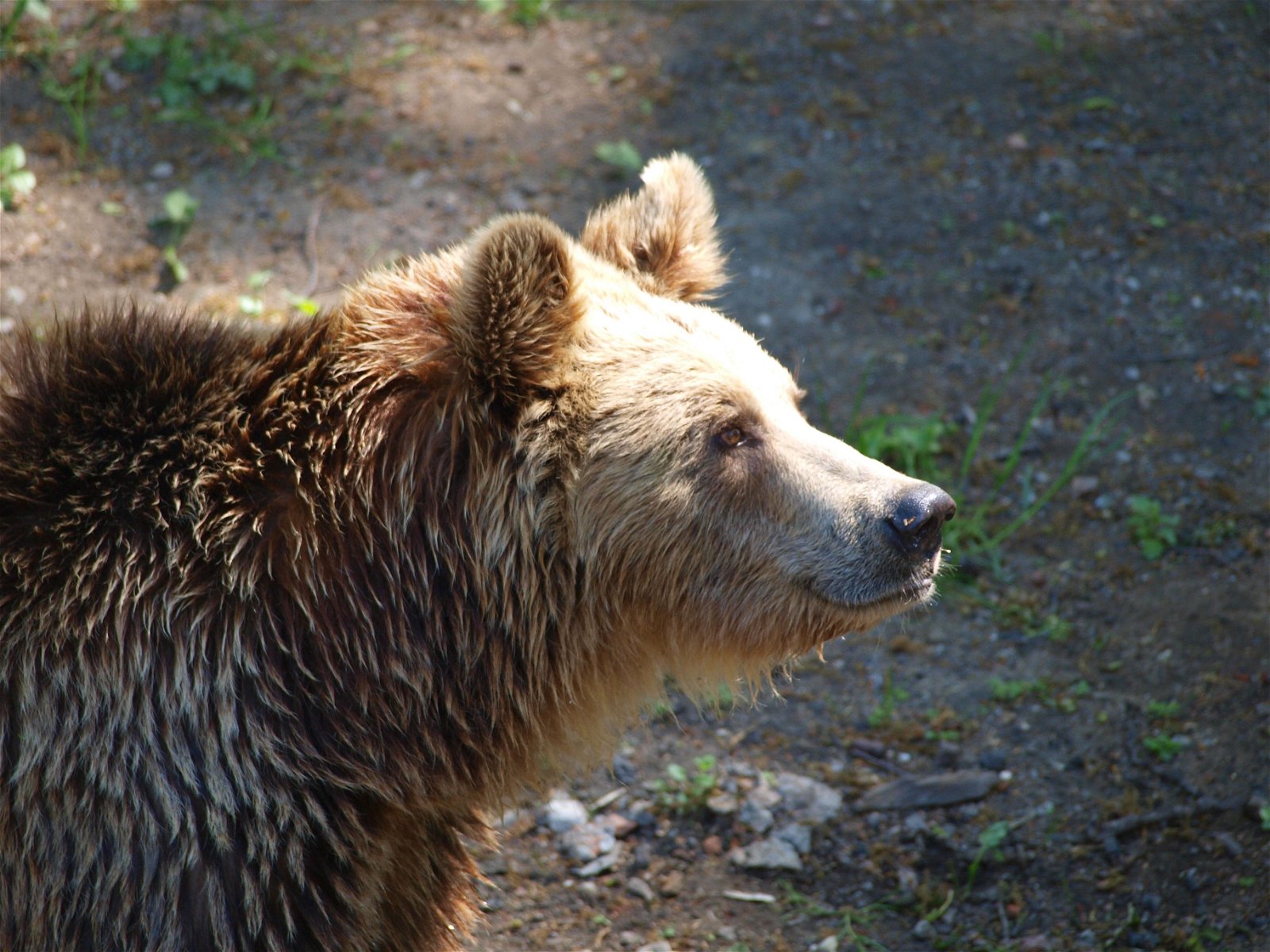 Wroclaw Zoo & Africarium