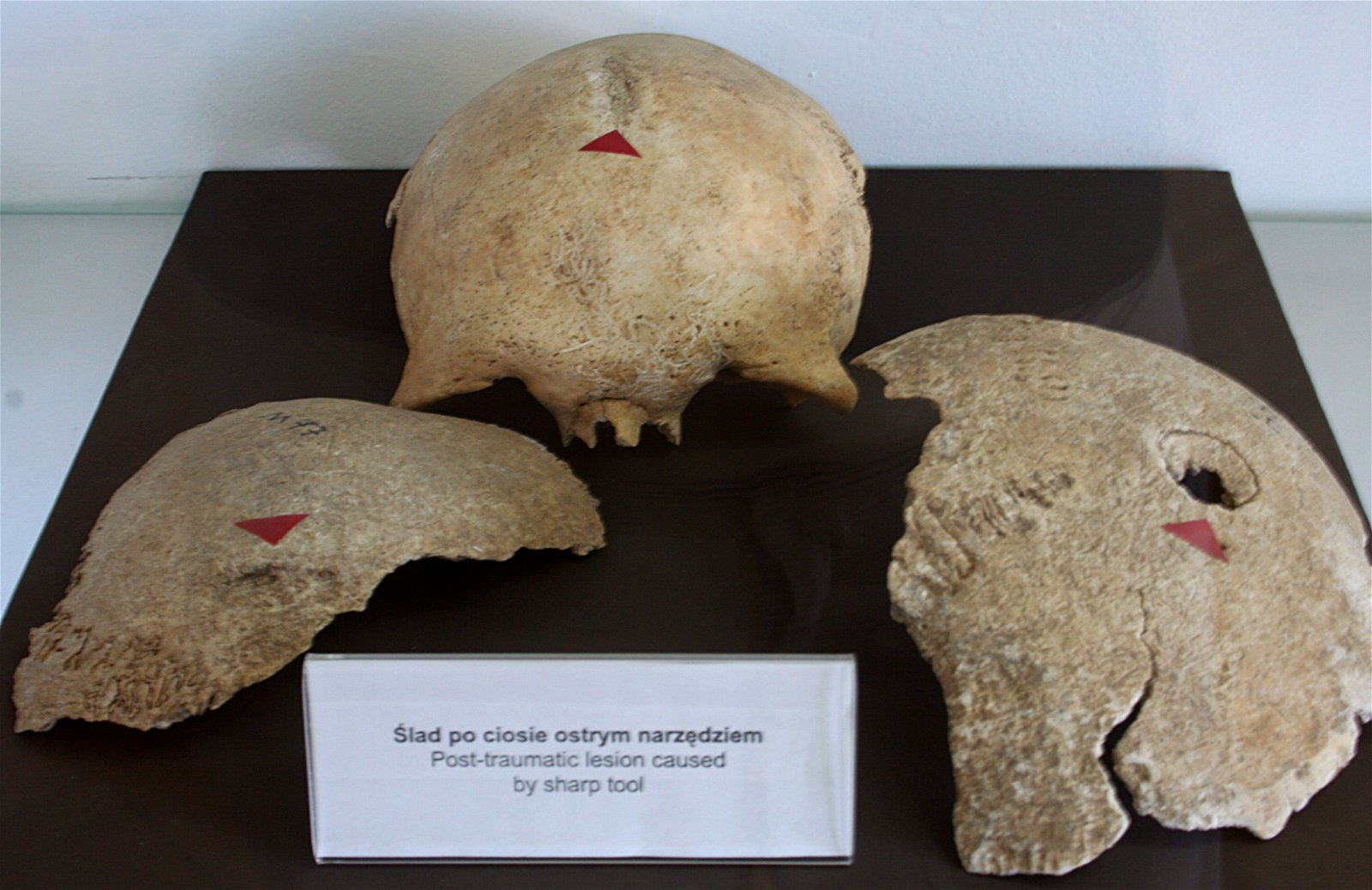 Museum of Archeology