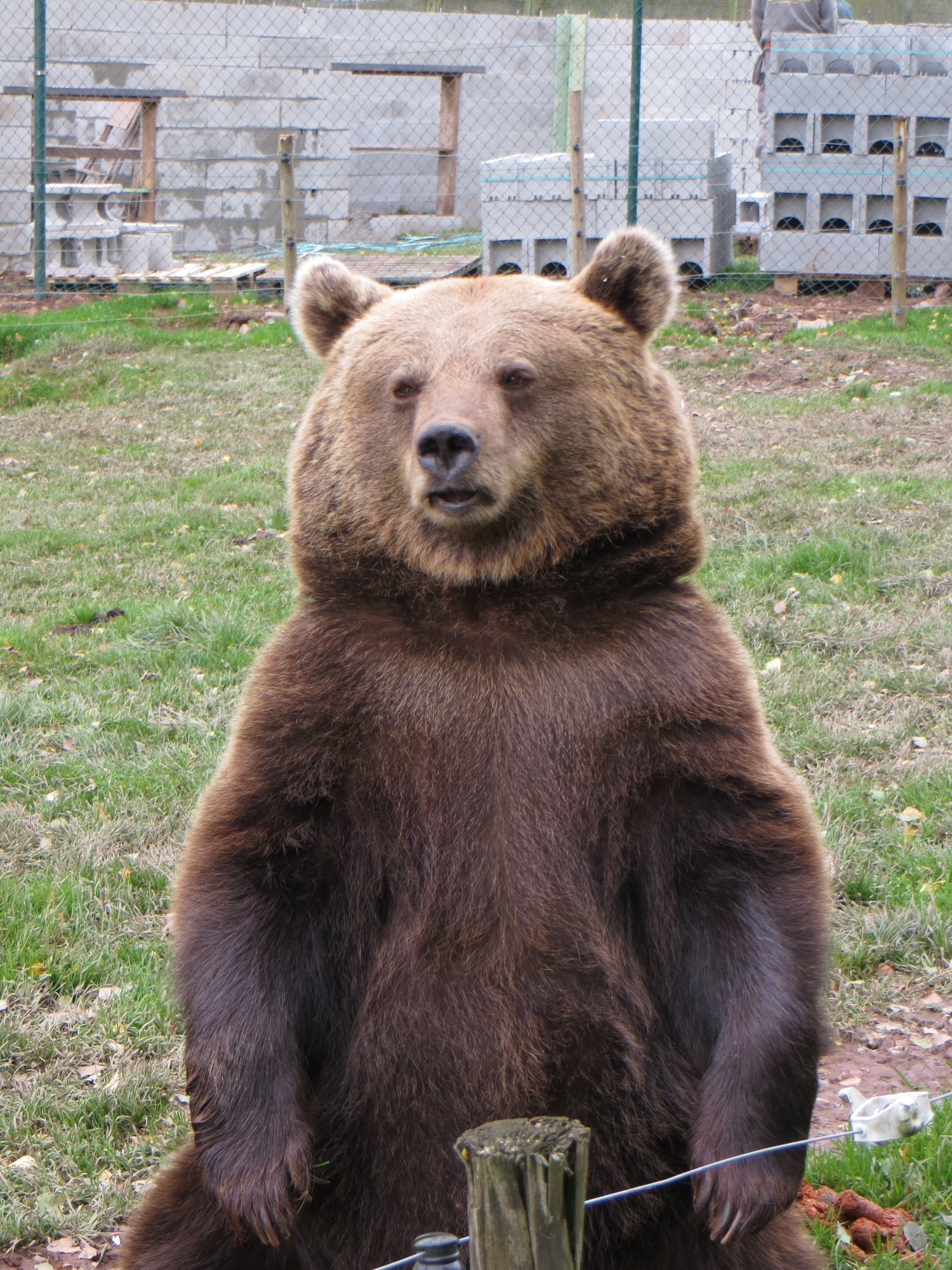 Monde Sauvage Safari Parc