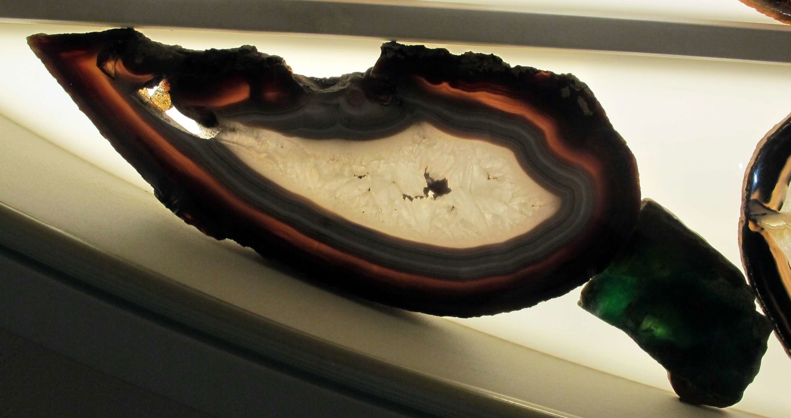 Museo di Storia Naturale di Firenze - Geologia e Paleontologia