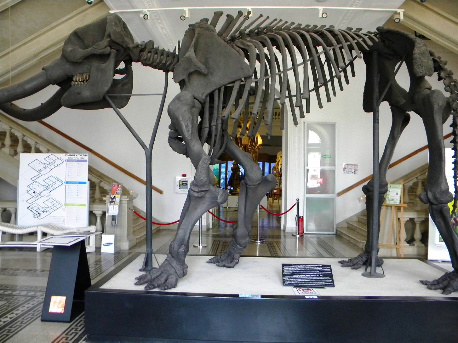 Grigore Antipa National Museum of Natural History