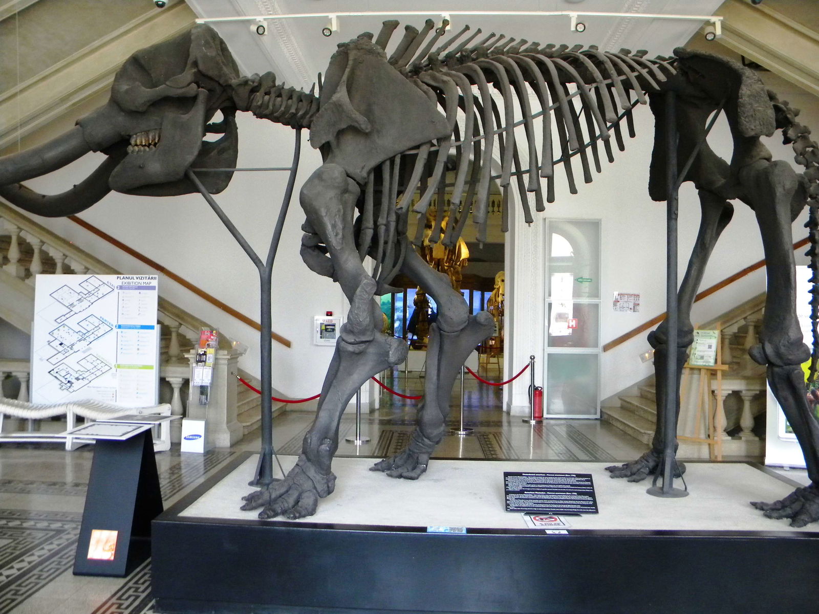 Grigore Antipa National Museum of Natural History