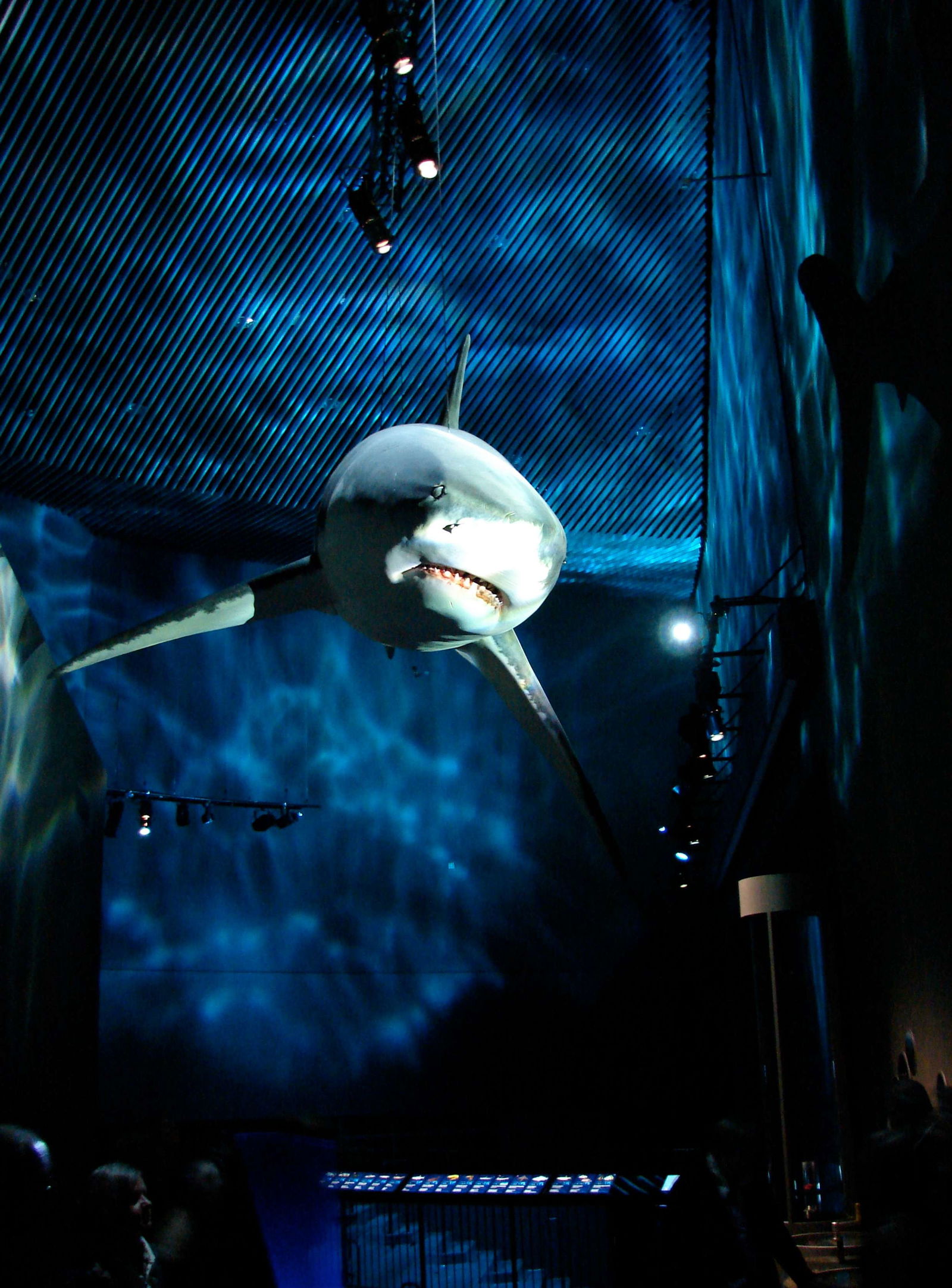 National Aquarium Denmark