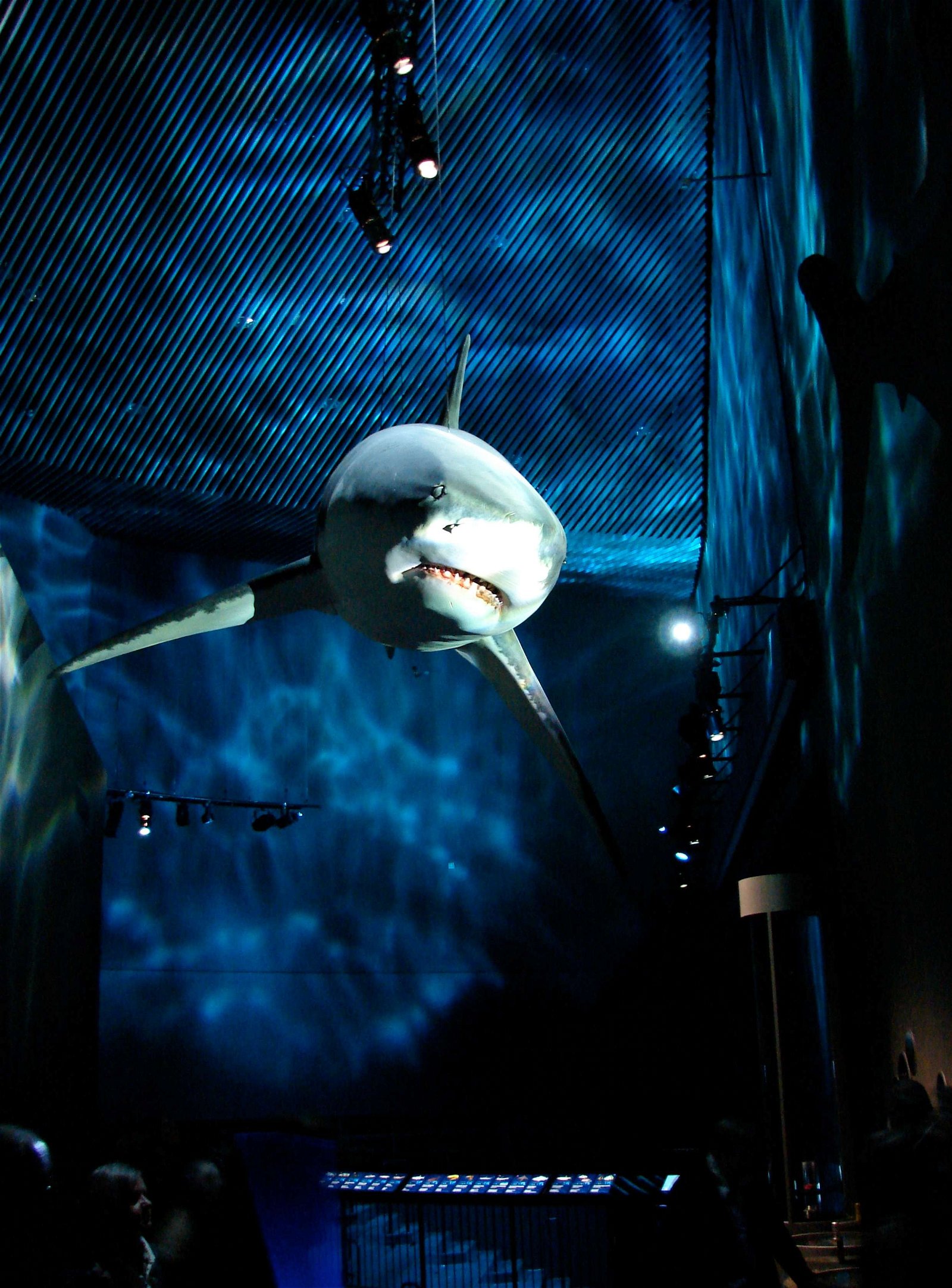 National Aquarium Denmark