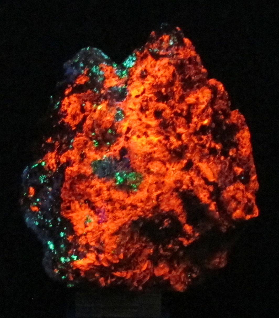 Museo di Storia Naturale di Firenze - Geologia e Paleontologia