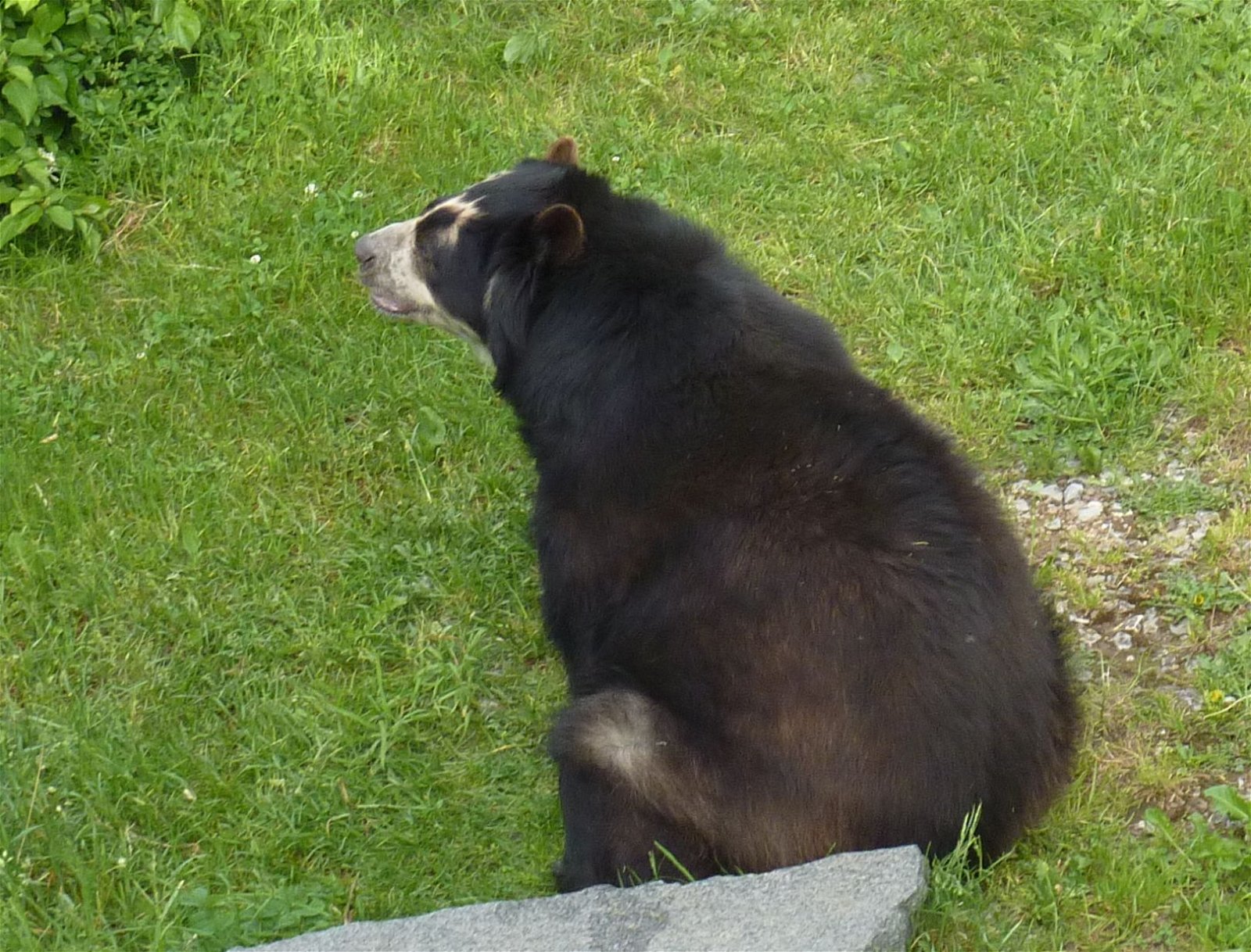 Wilhelma Zoo and Botanical Garden