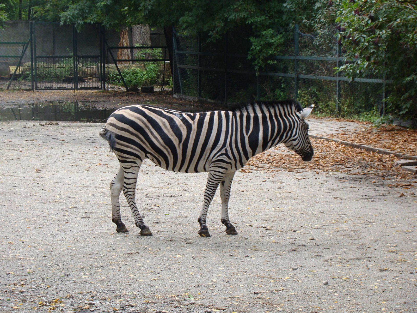 Lodz Zoo
