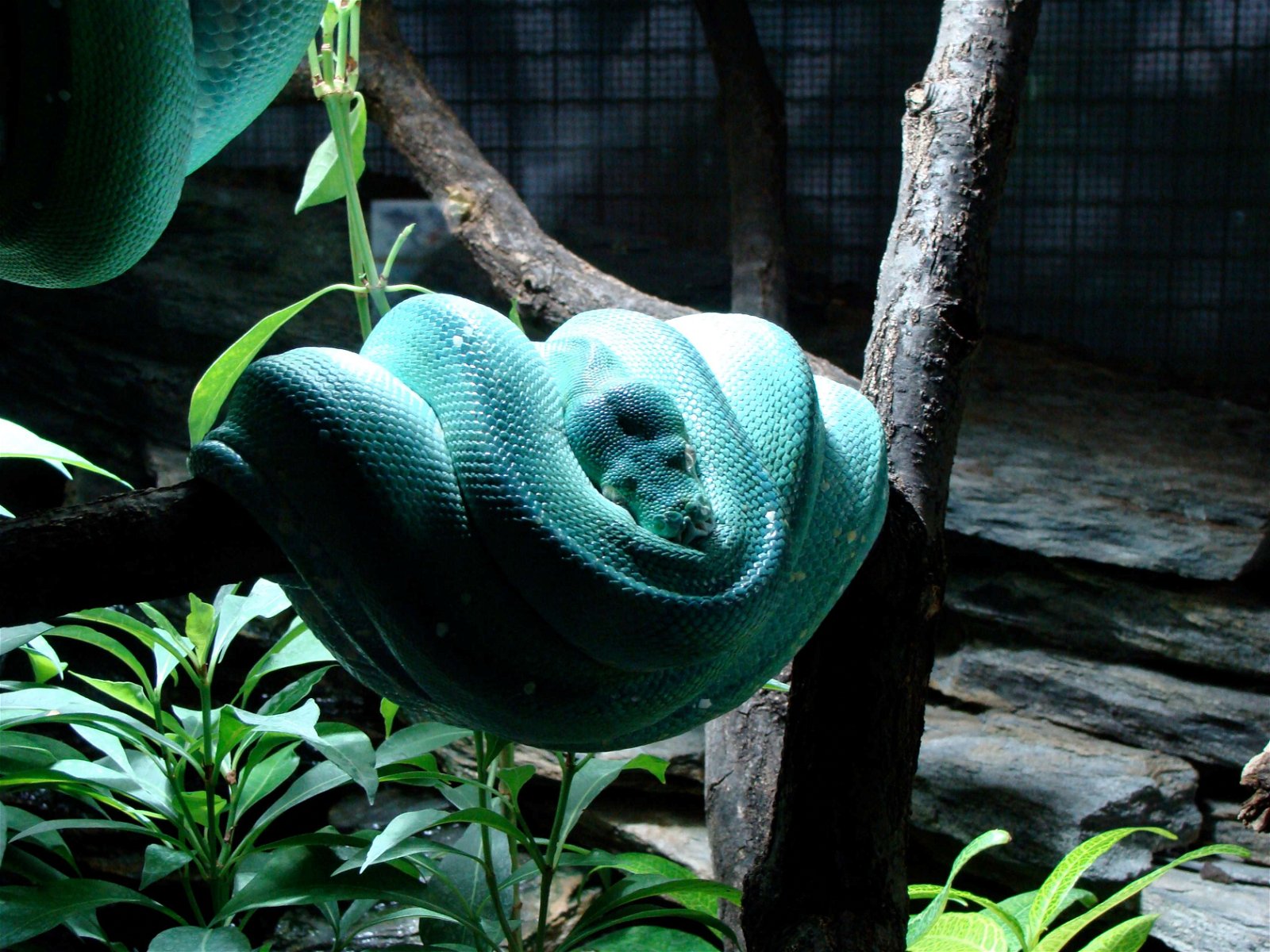 Berlin Zoological Garden