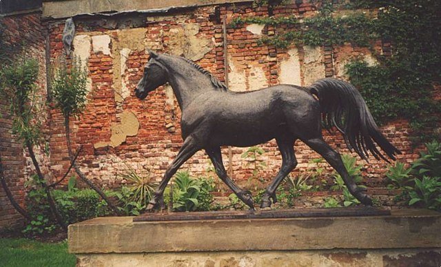 Renishaw Hall & Gardens