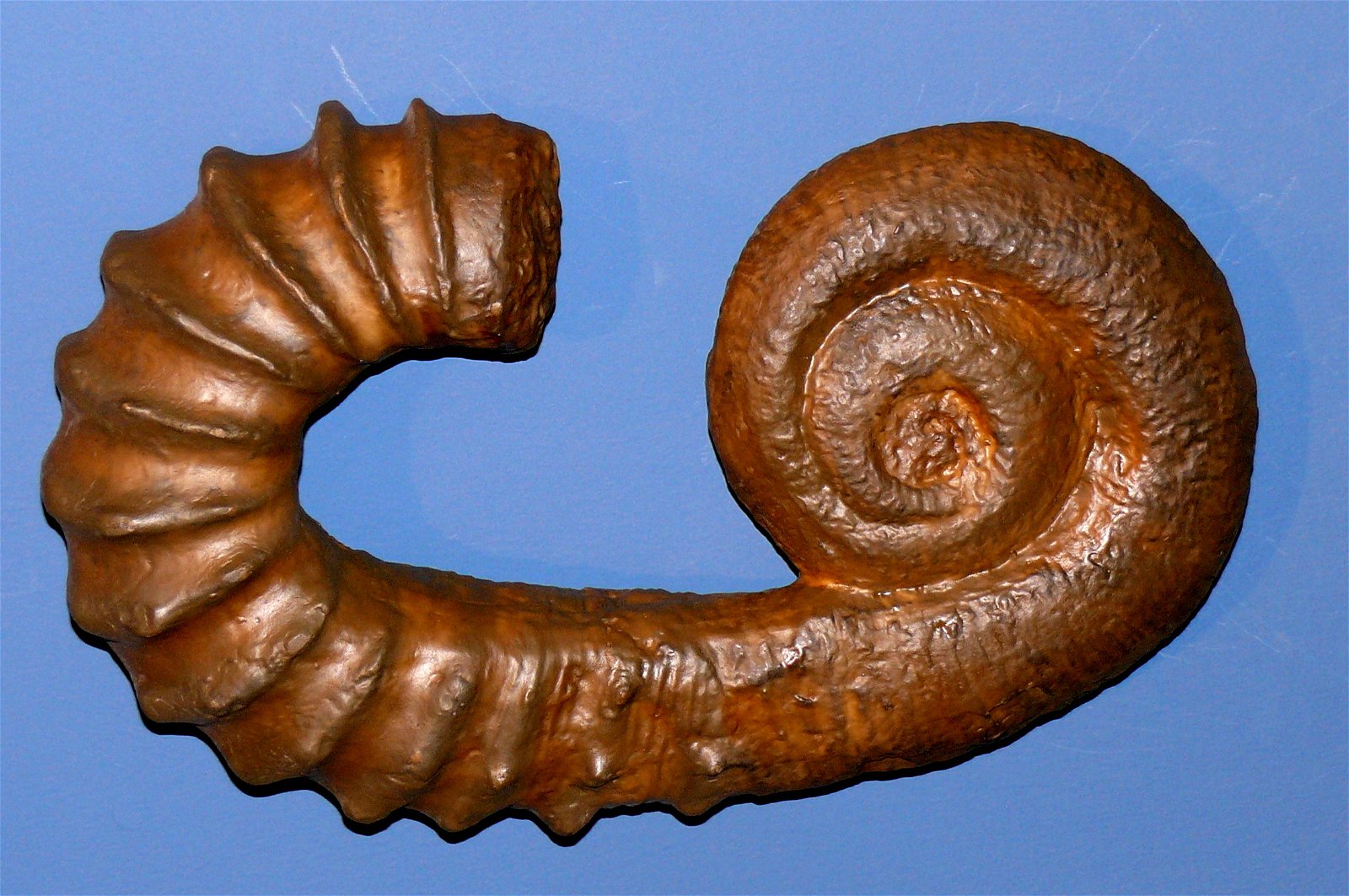 Aquazoo – Löbbecke-Museum Düsseldorf