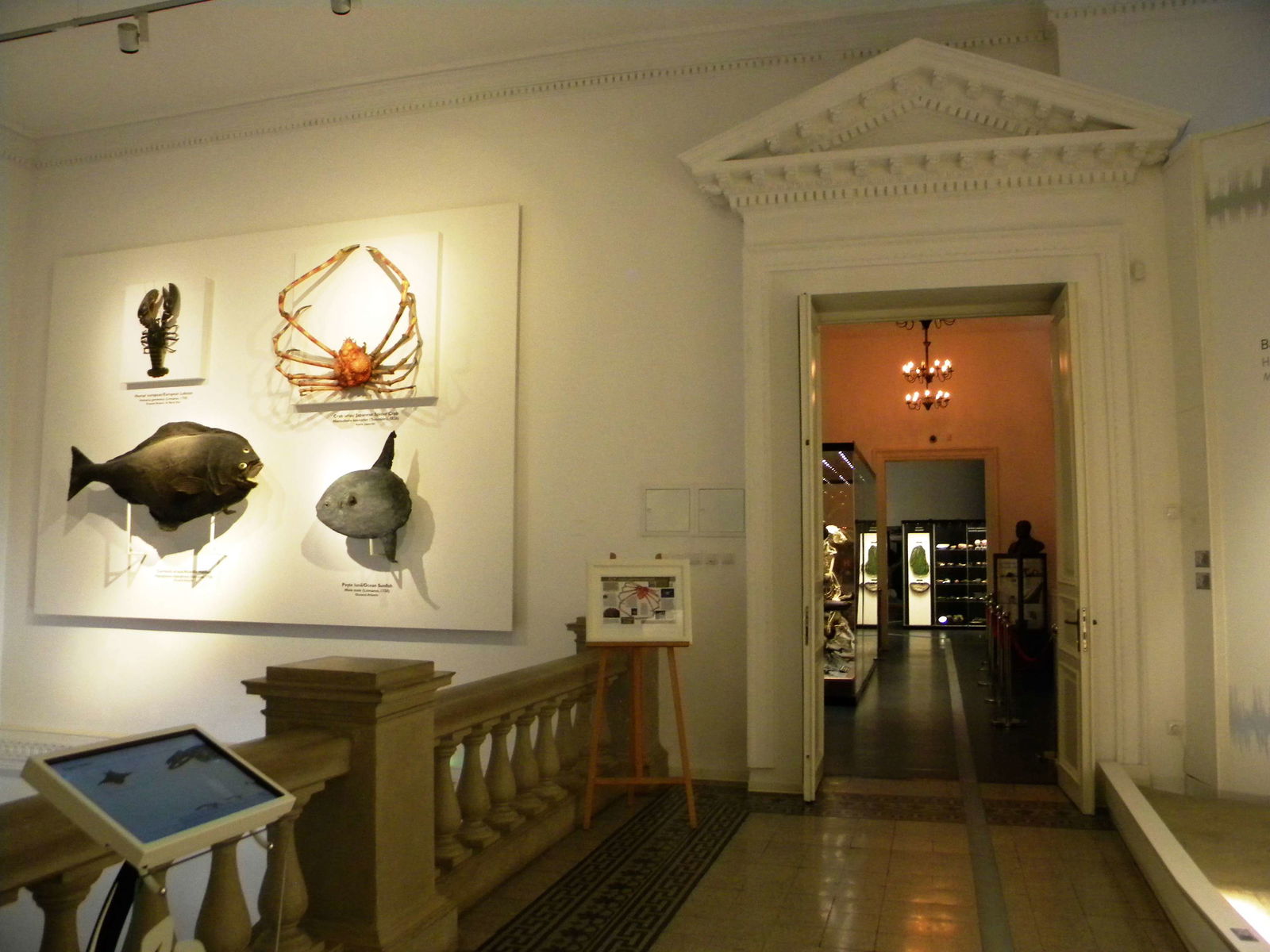 Grigore Antipa National Museum of Natural History