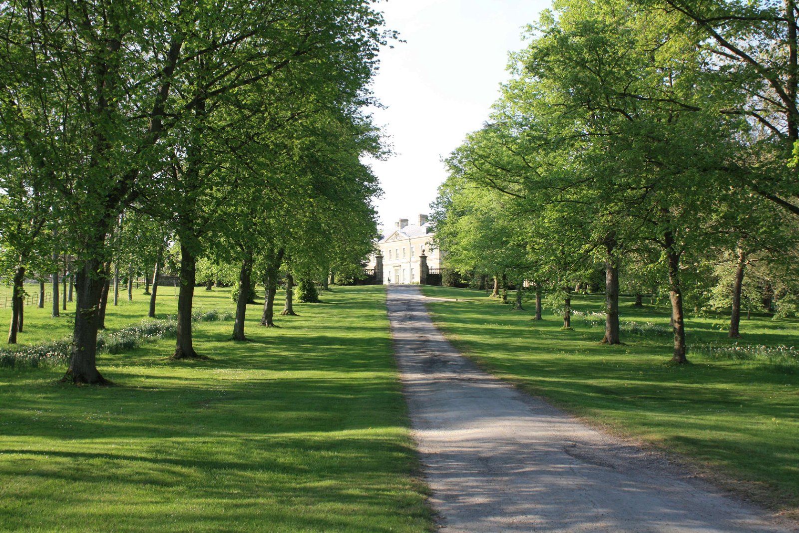 The Faringdon Collection