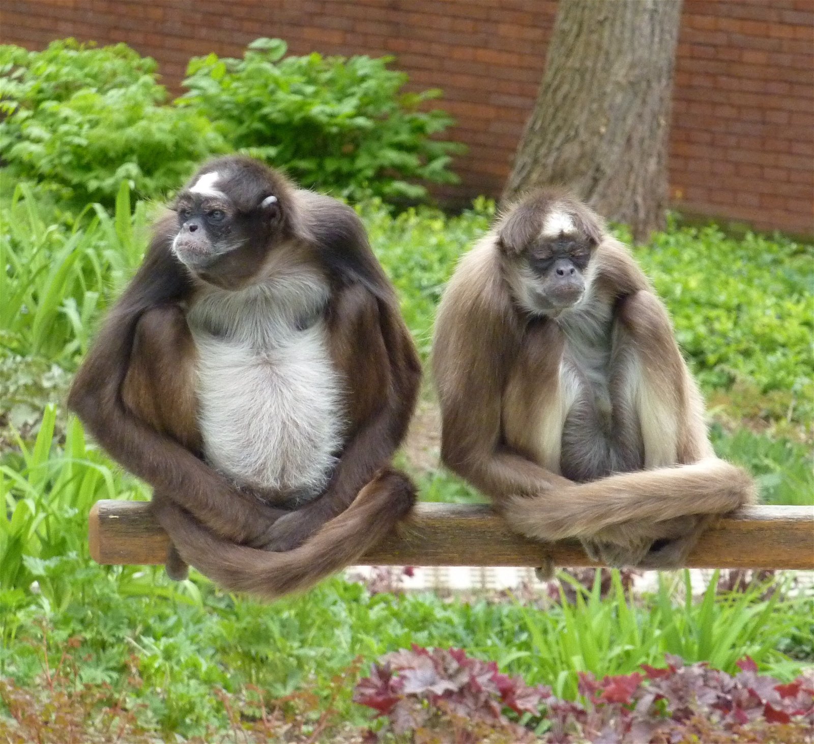 Wilhelma Zoologisch-Botanischer Garten