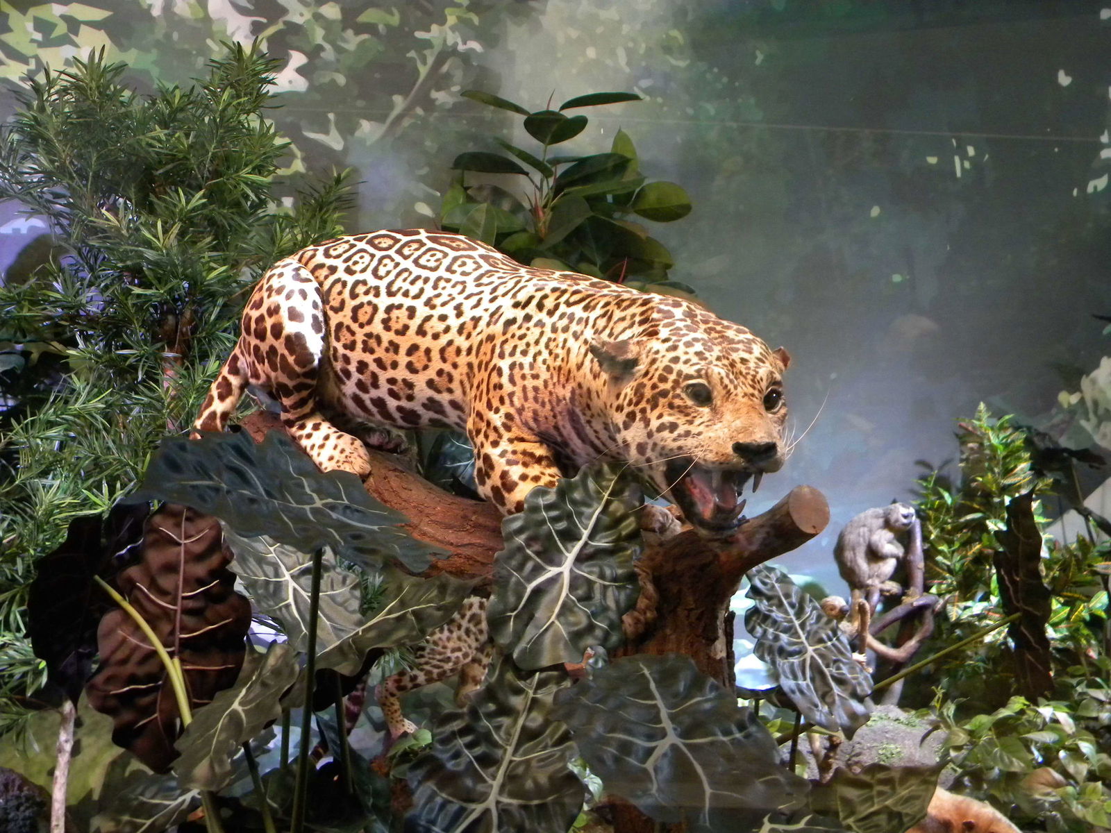 Grigore Antipa National Museum of Natural History