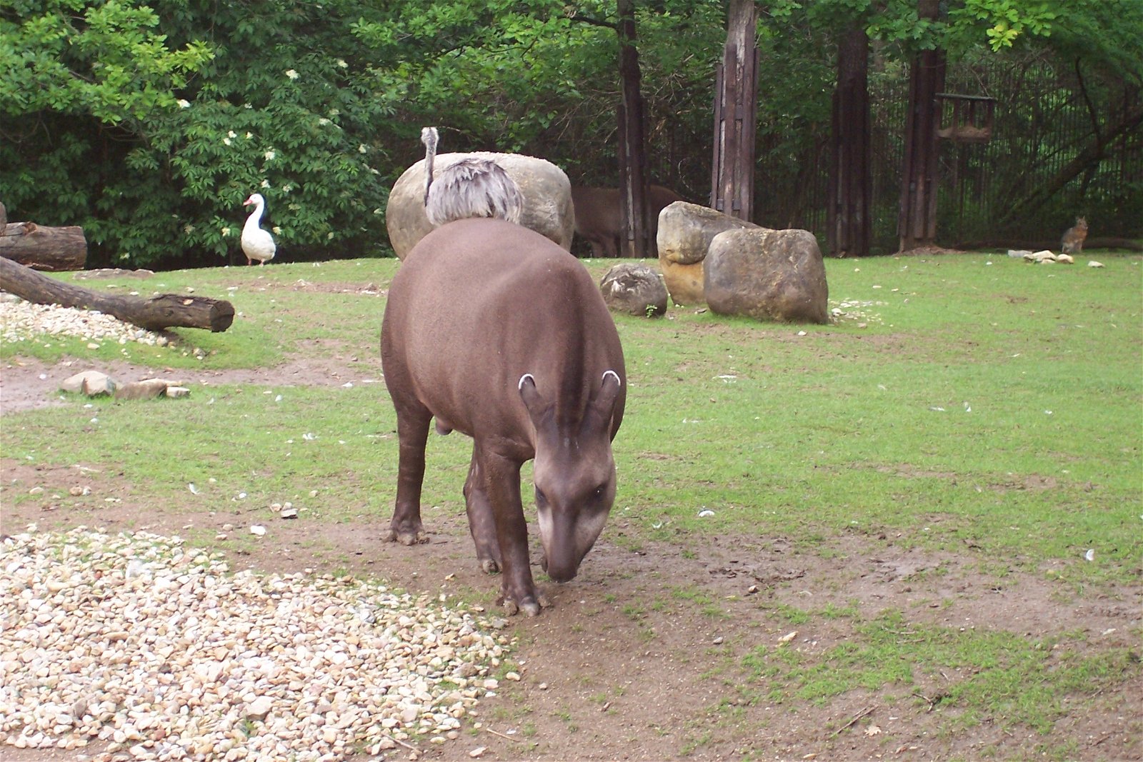 Zoo Brno