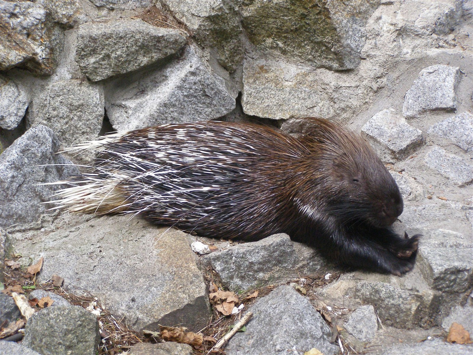 Wroclaw Zoo & Africarium