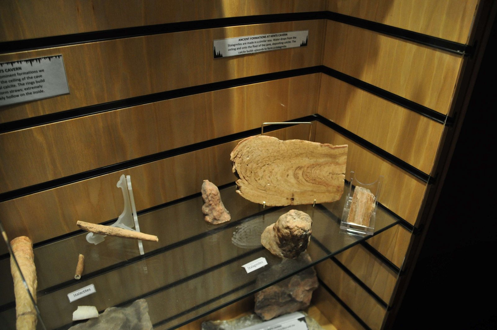 Kents Cavern Prehistoric Caves